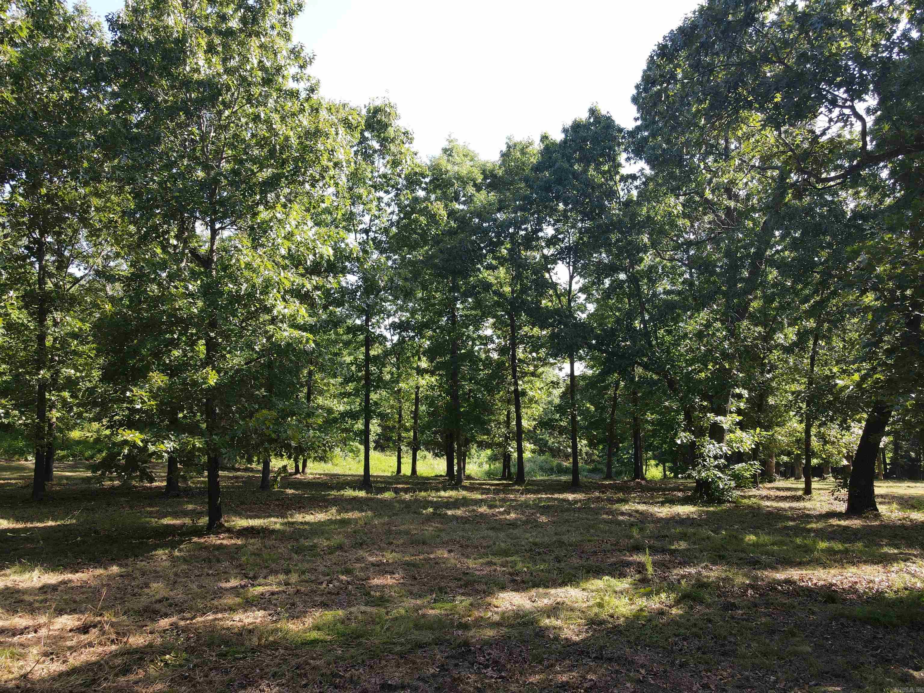 Lot 16 & 17 Pecks Drive Property Photo 19