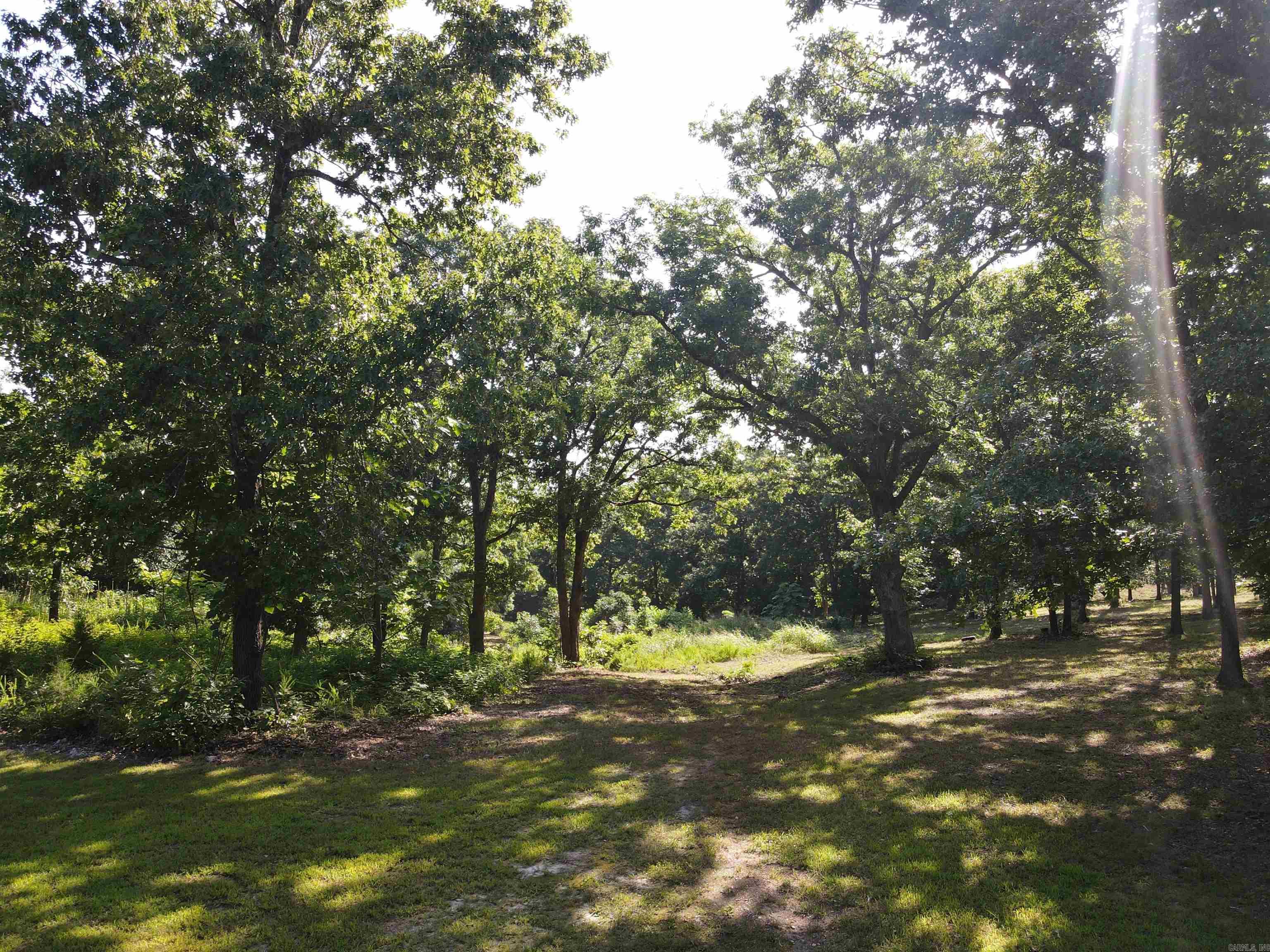 Lot 16 & 17 Pecks Drive Property Photo 20