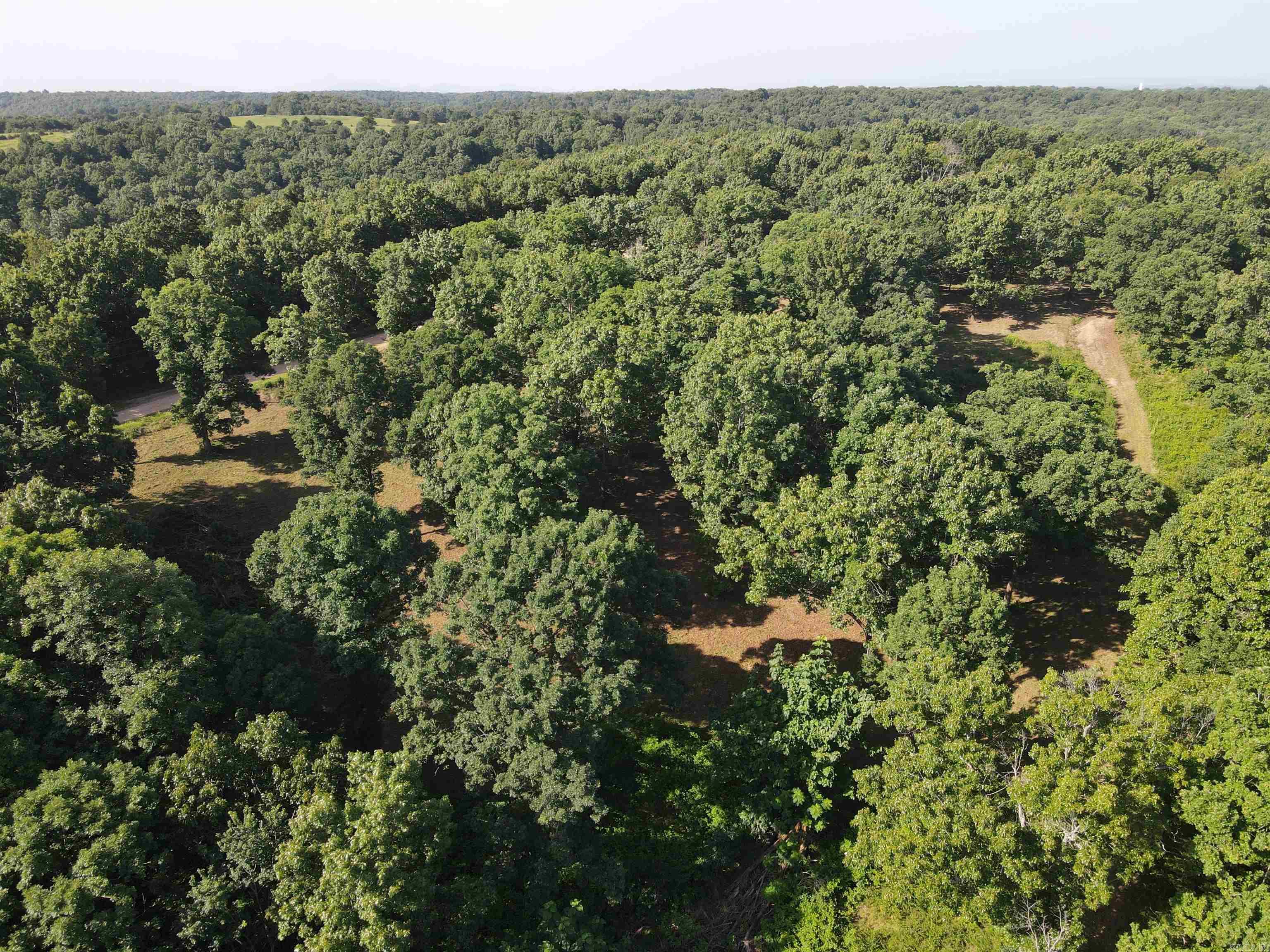 Lot 16 & 17 Pecks Drive Property Photo 21