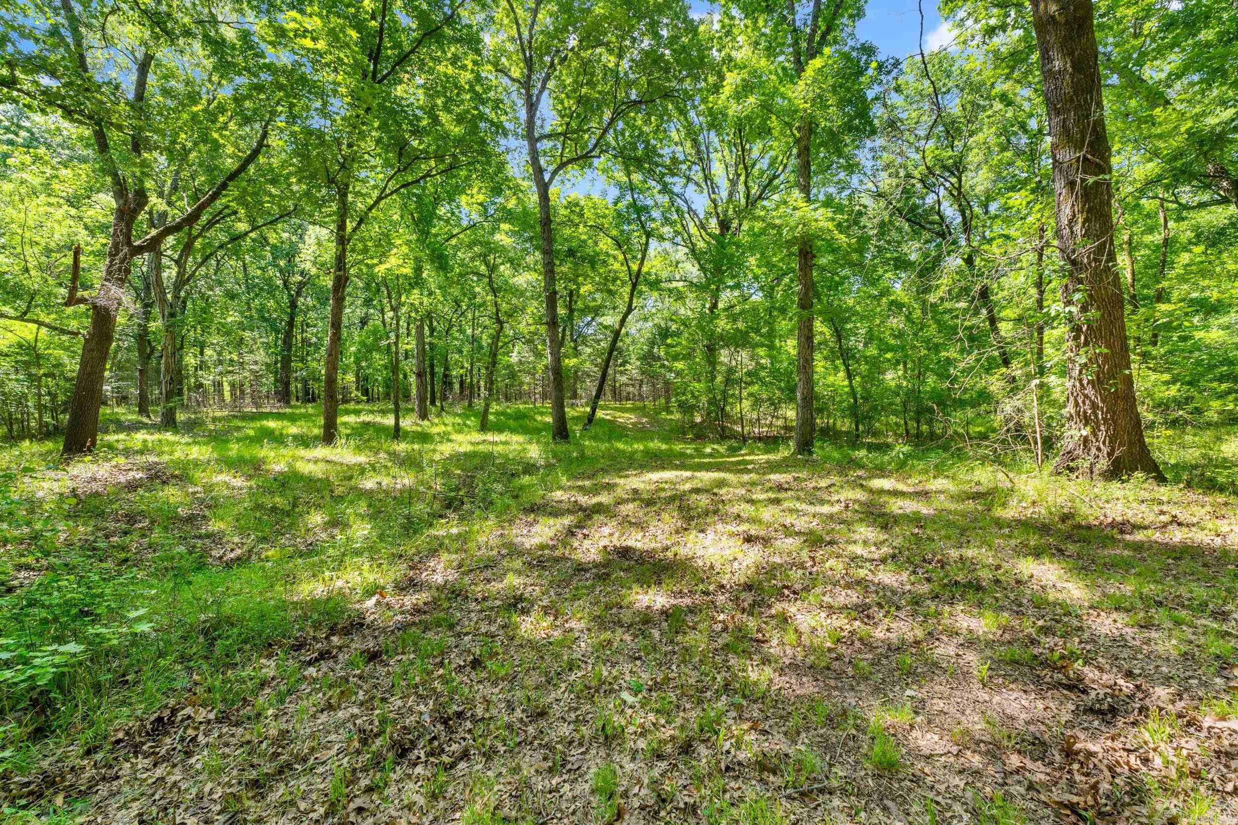 Tbd Pleasant Valley Road Property Photo 1