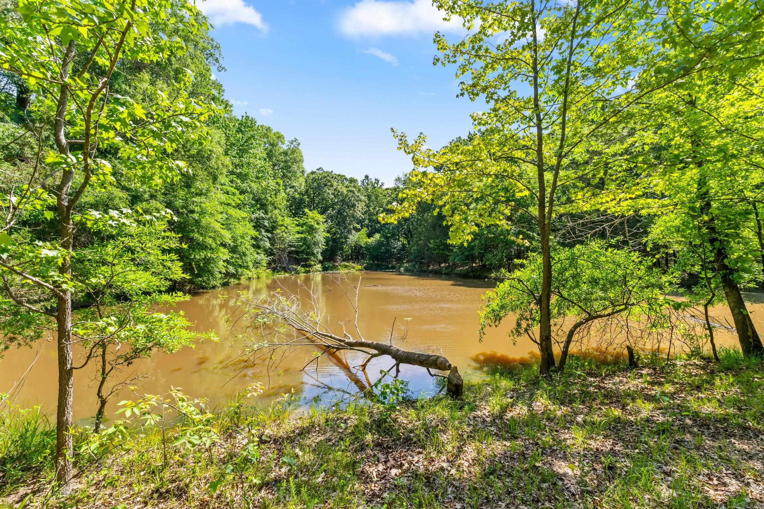 Tbd Pleasant Valley Road Property Photo 2