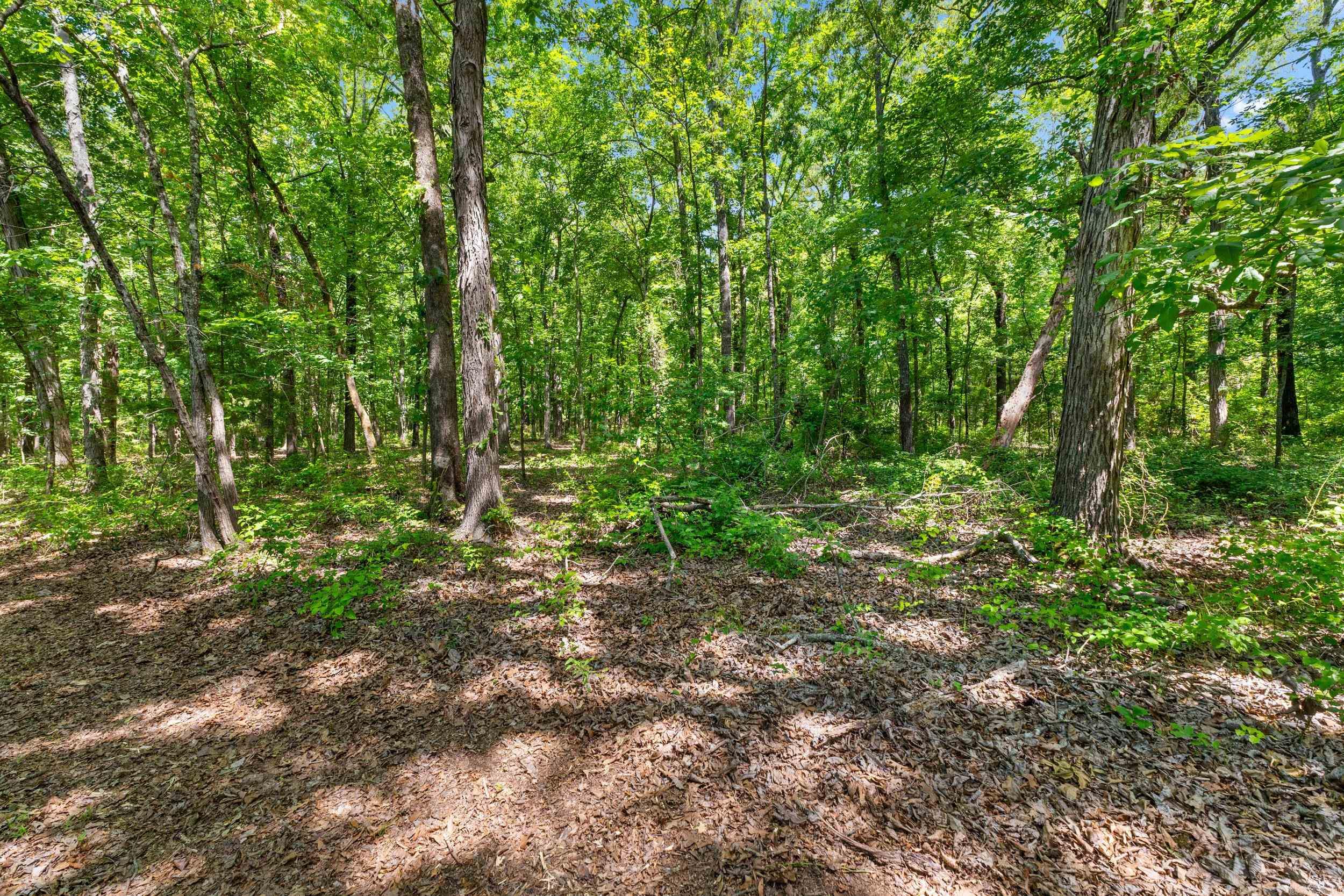 Tbd Pleasant Valley Road Property Photo 3
