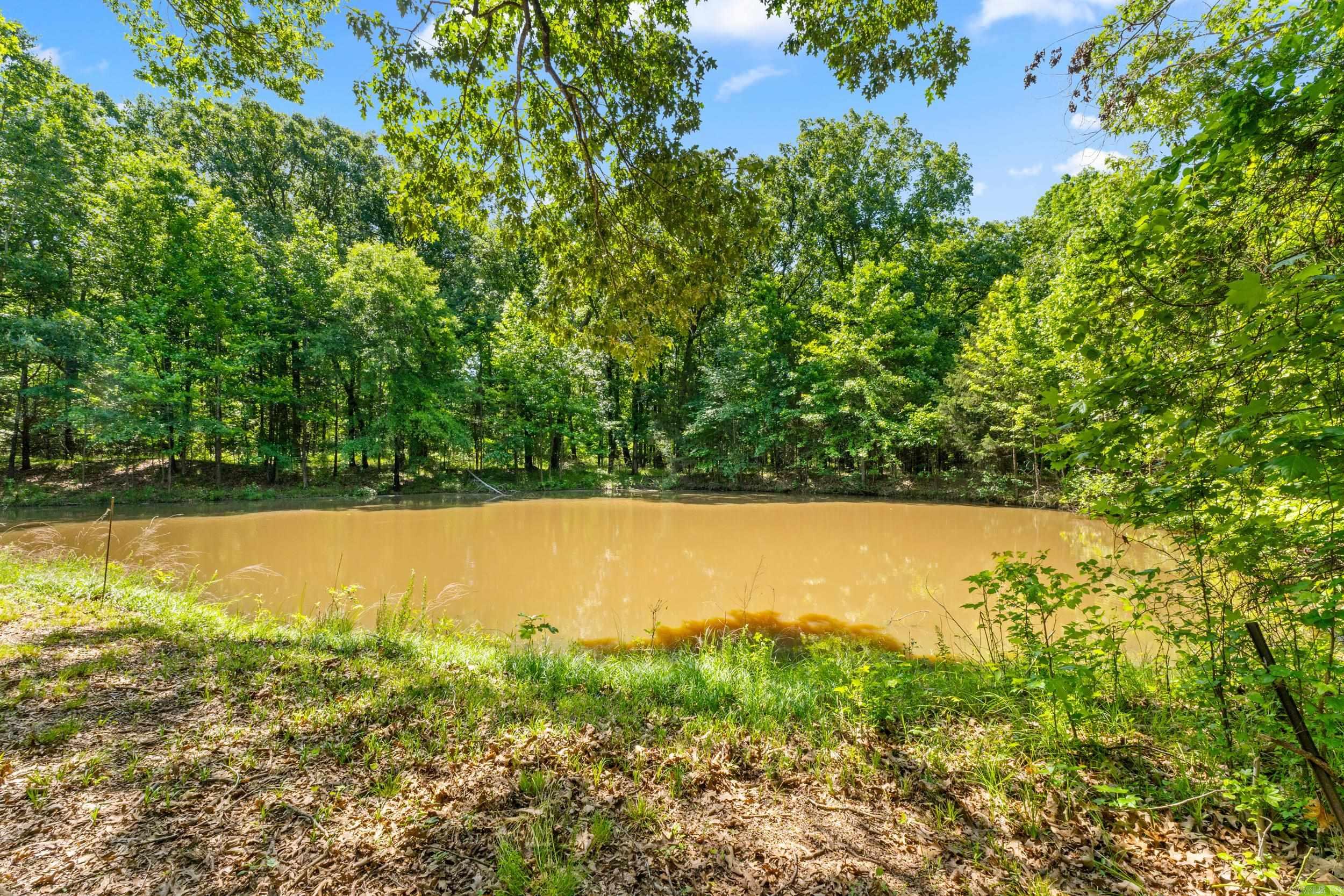 Tbd Pleasant Valley Road Property Photo 4