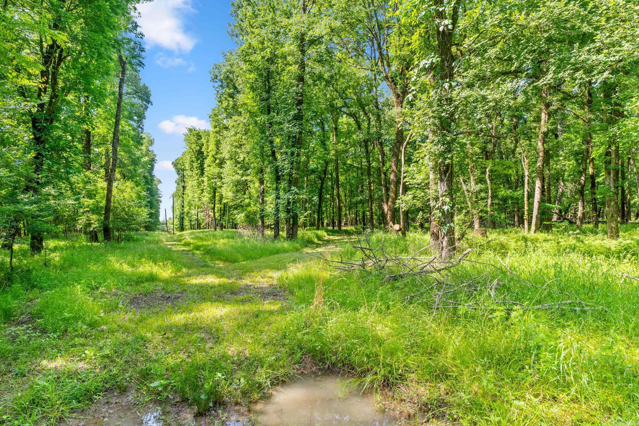 Tbd Pleasant Valley Road Property Photo 7