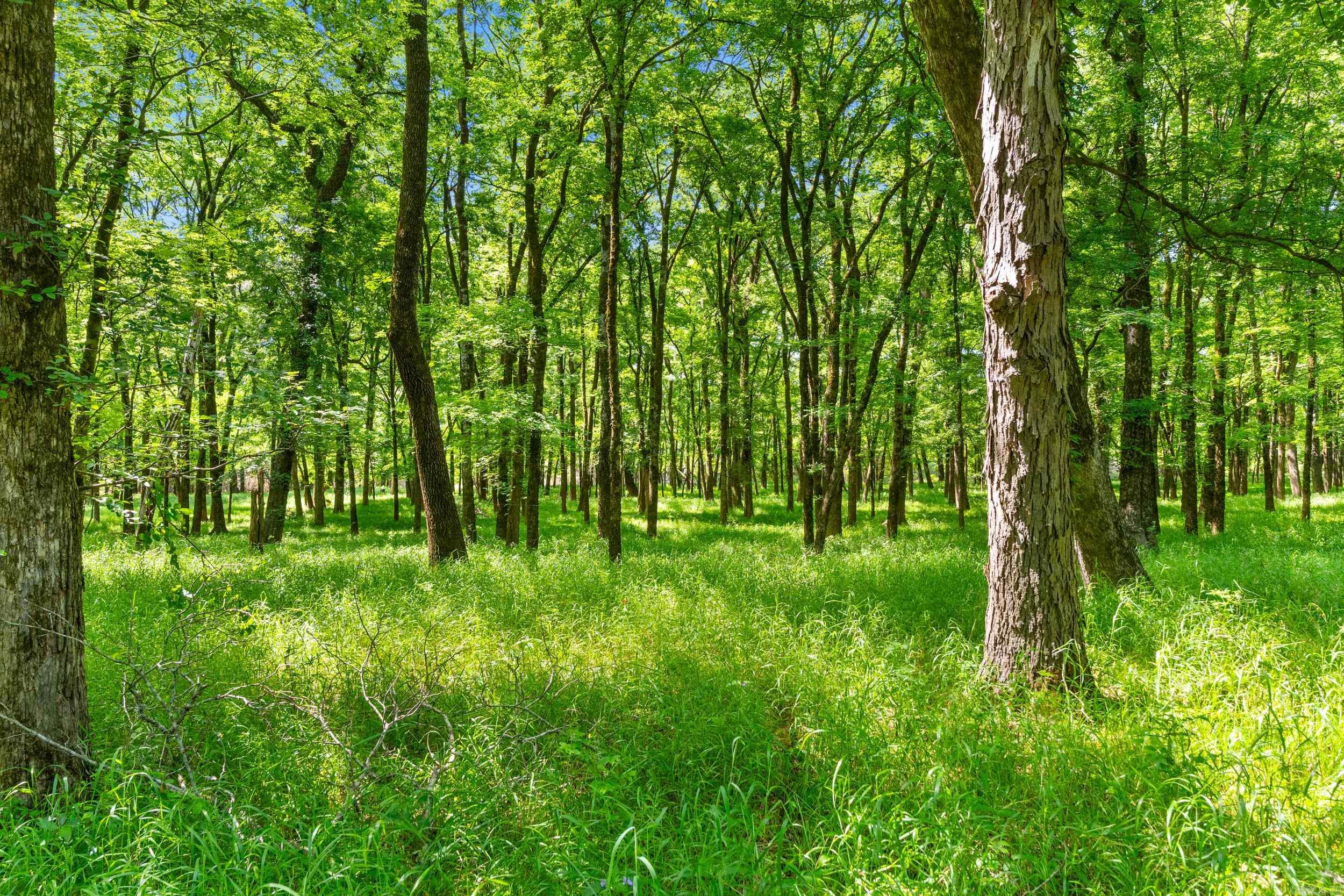 Tbd Pleasant Valley Road Property Photo 8
