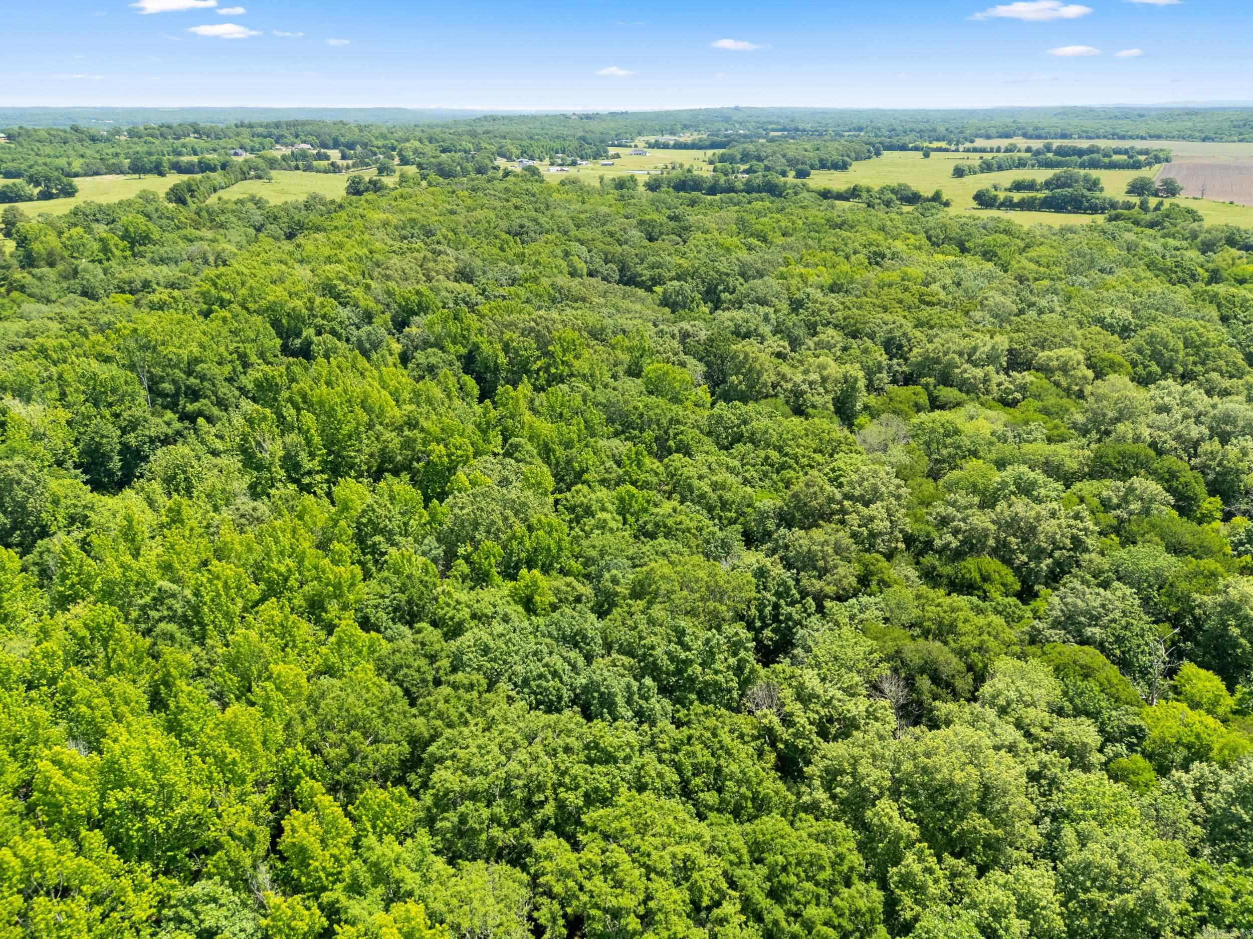 Tbd Pleasant Valley Road Property Photo 25