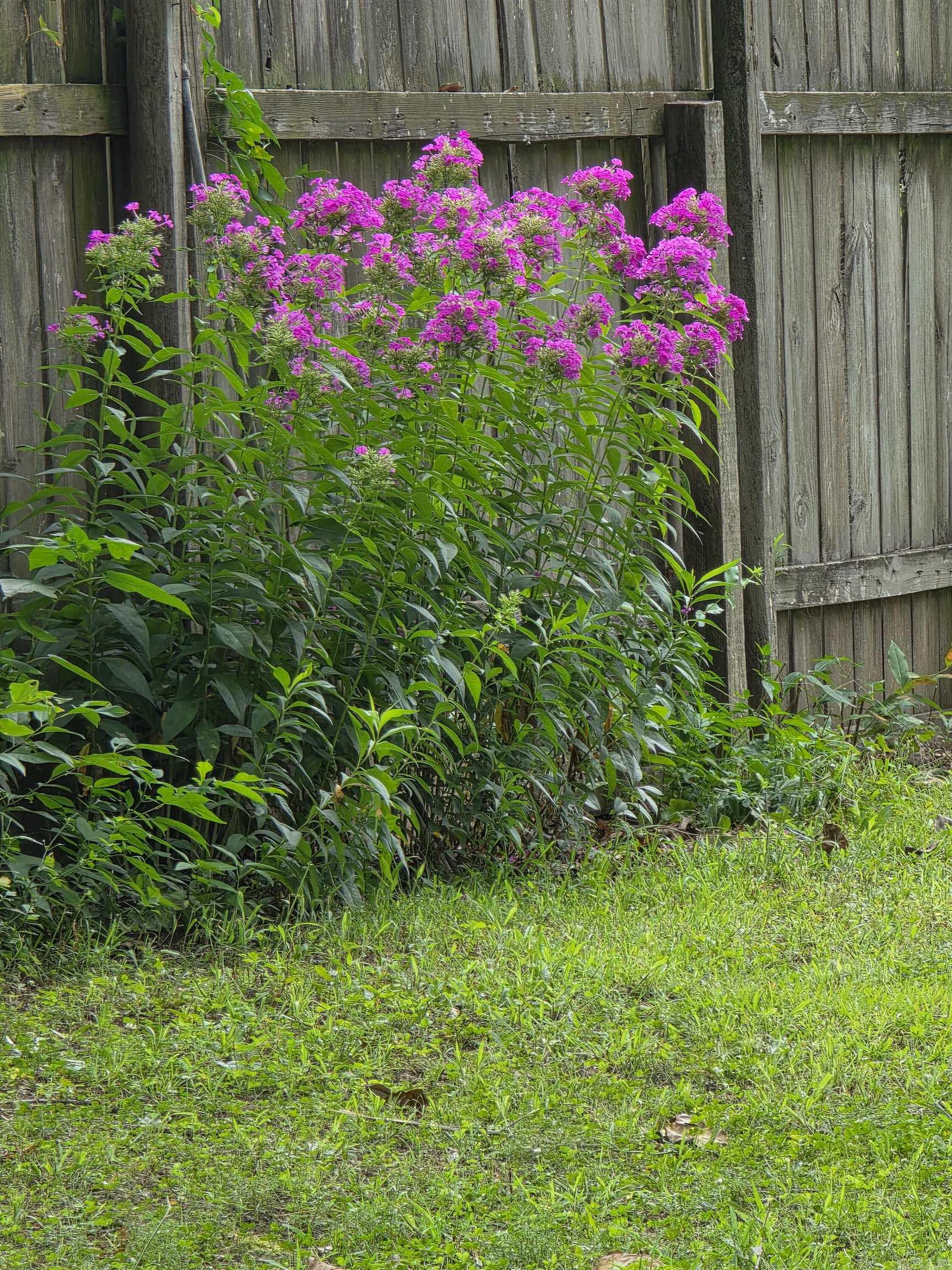 26029117 Property Photo 8