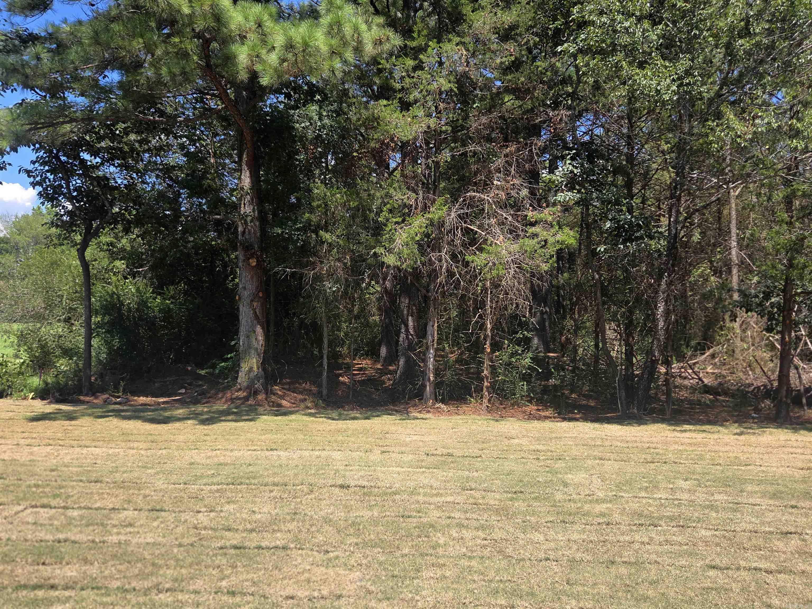 1800 Seattle Slew Property Photo 48