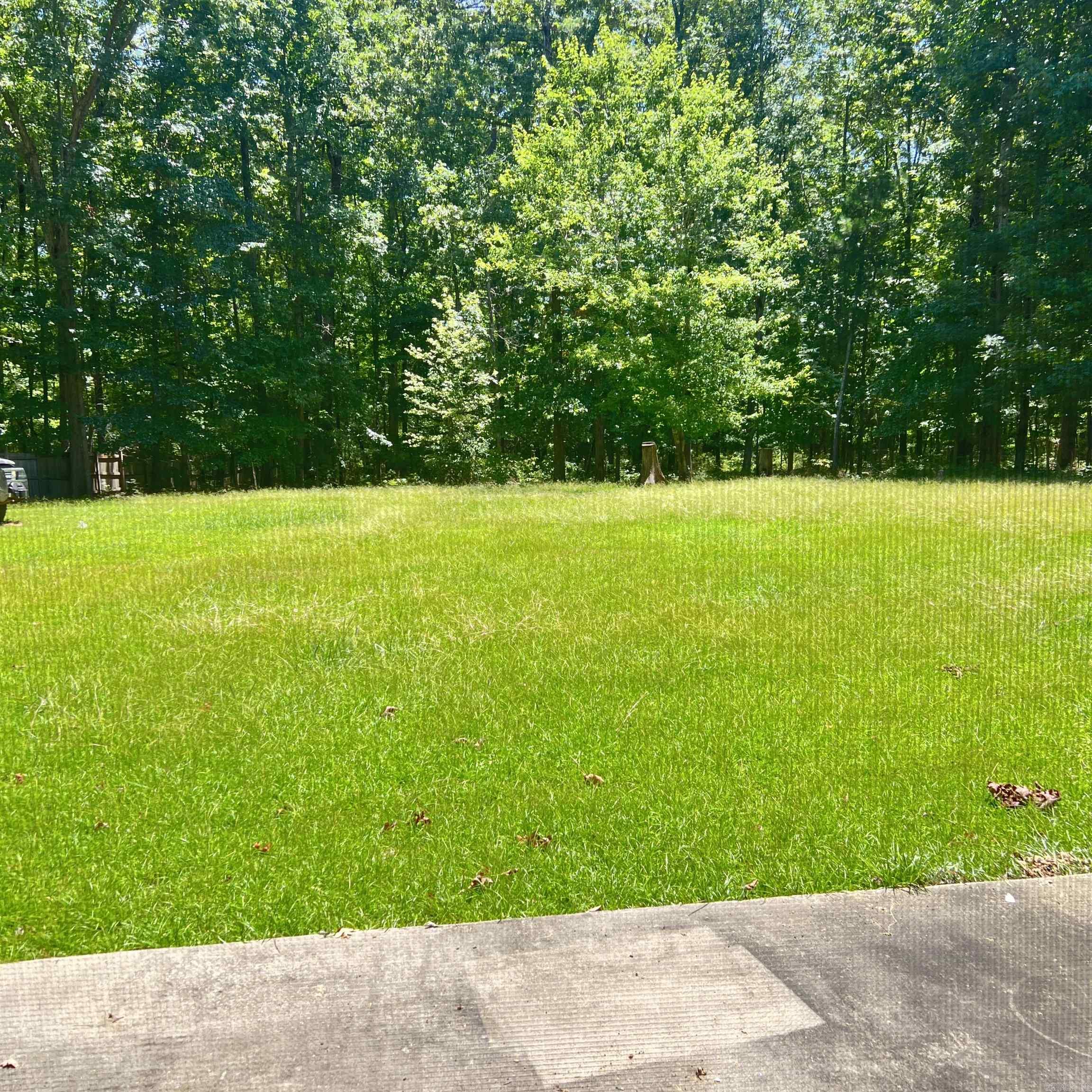 1301 Quapaw Drive Property Photo 18