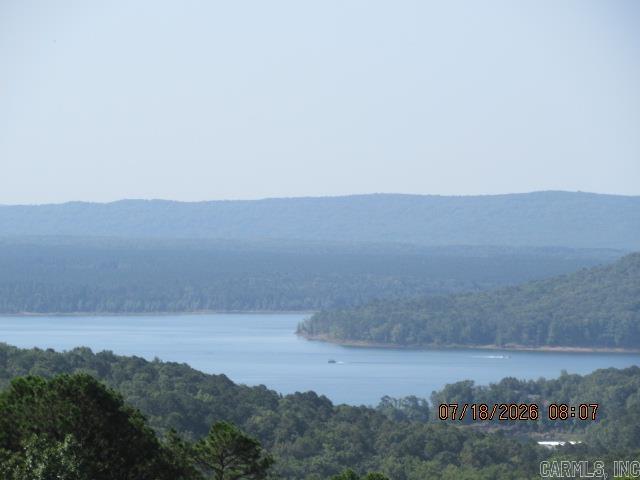 227 Dunlop Road Property Photo 39