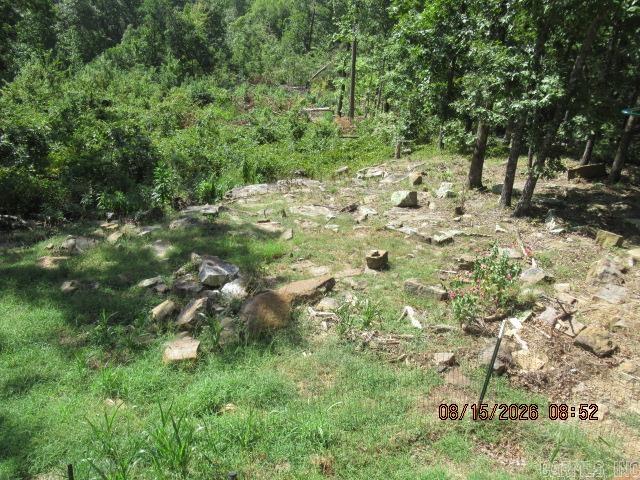 227 Dunlop Road Property Photo 43
