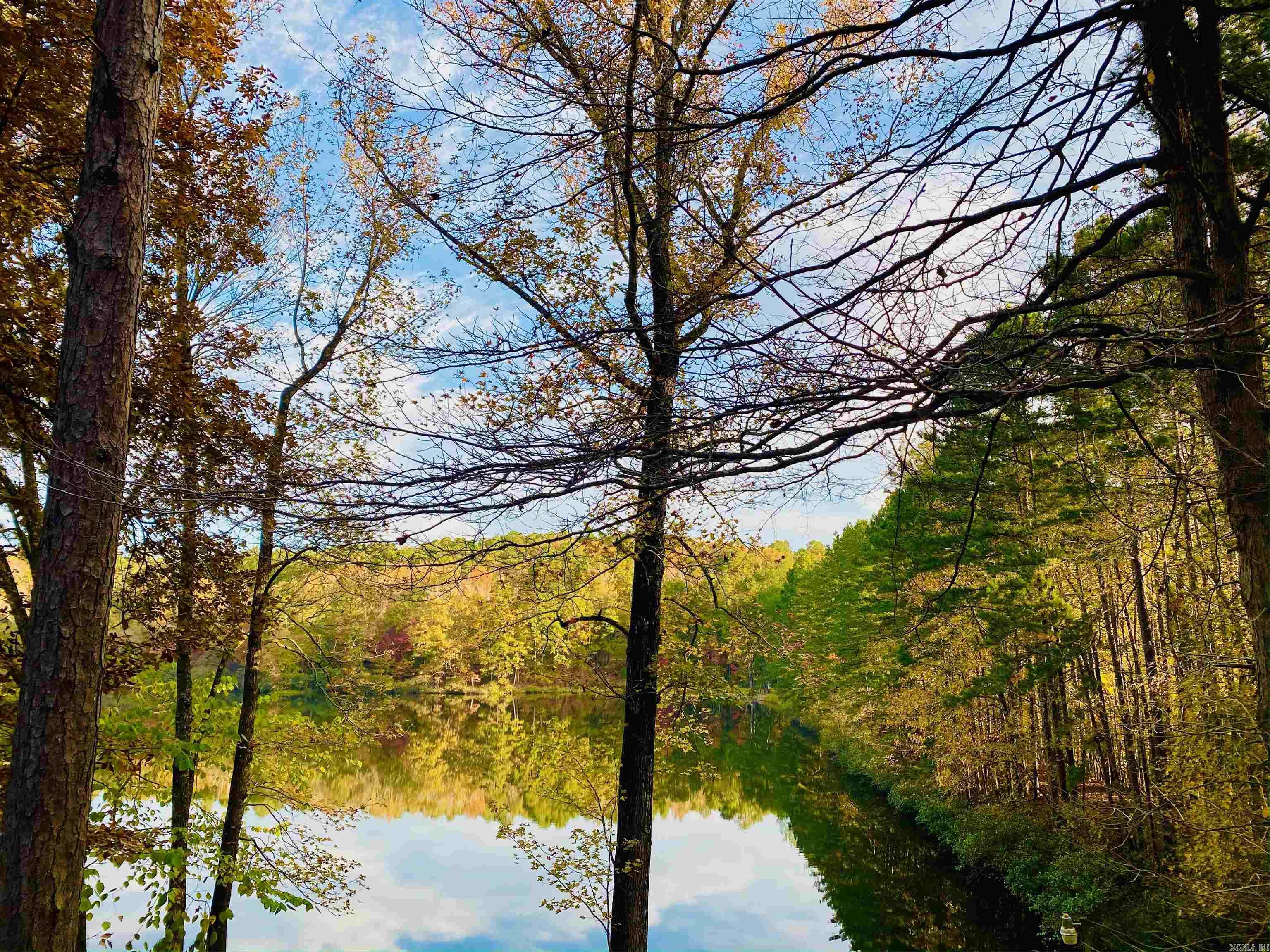 14722 Gorgeous View Trail Property Photo 43