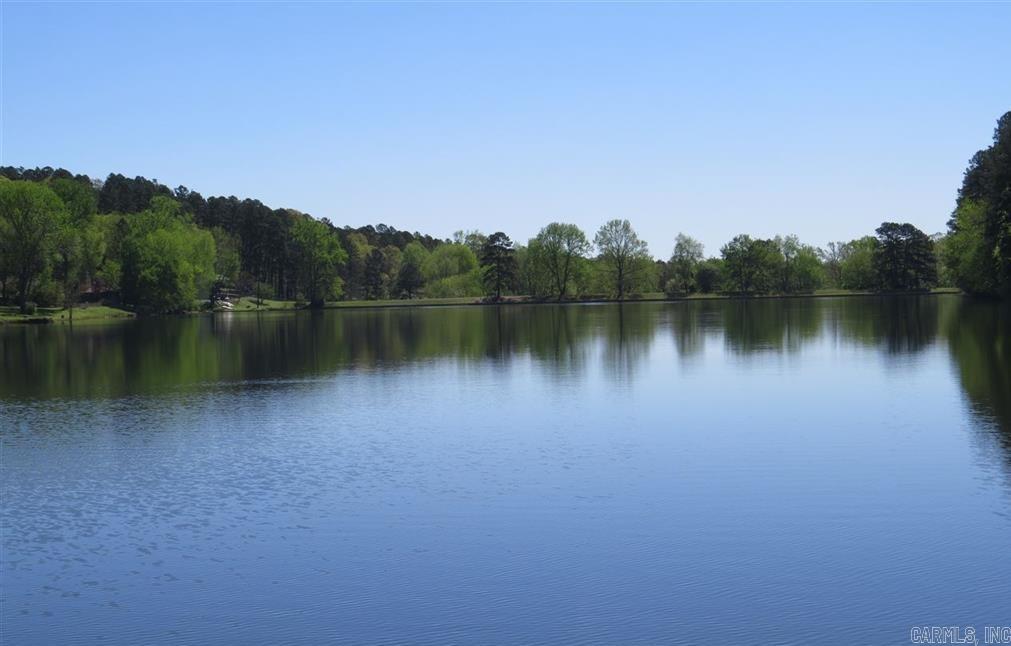 14722 Gorgeous View Trail Property Photo 45