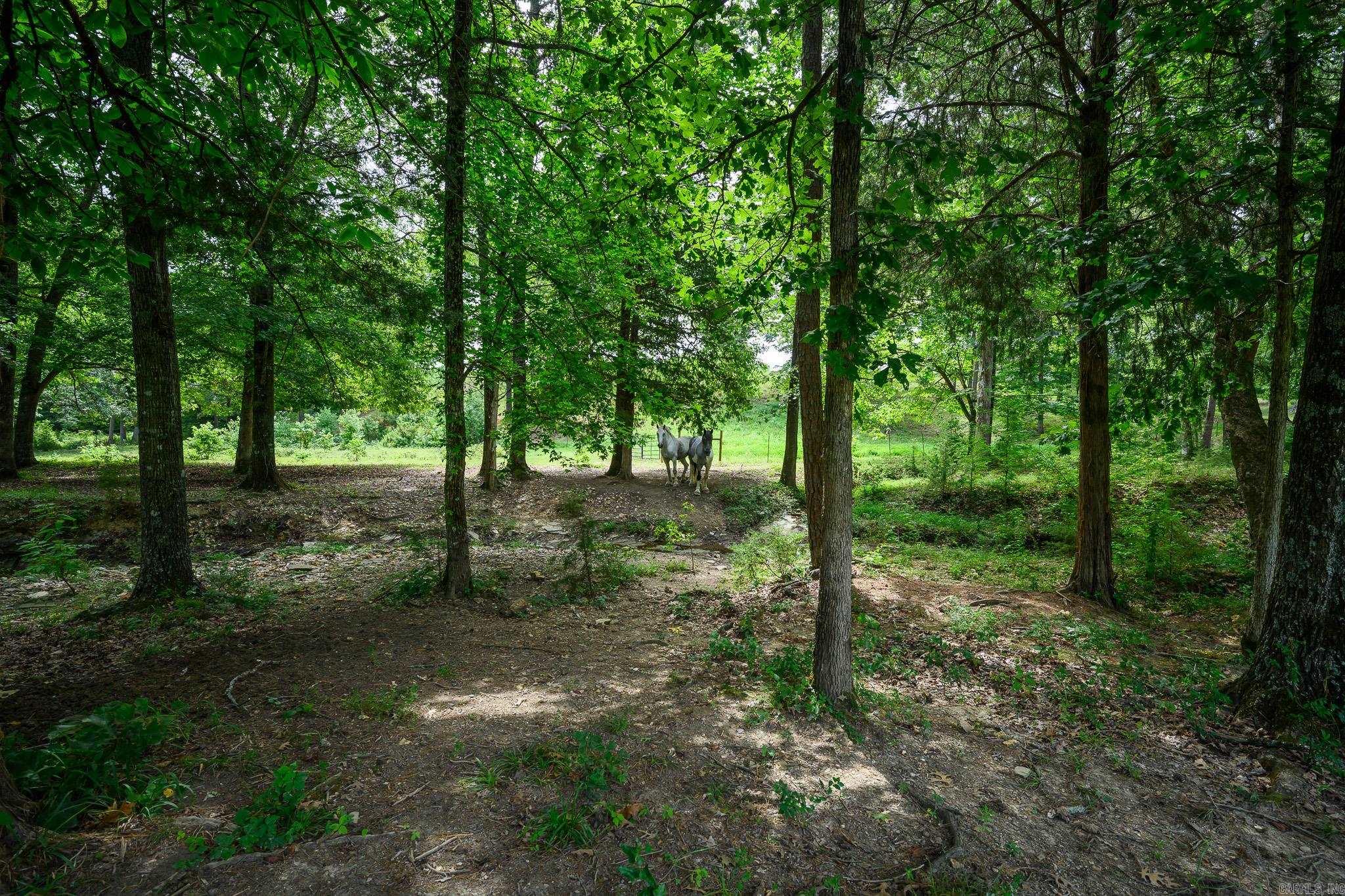 938 Ballpark Road Property Photo 33