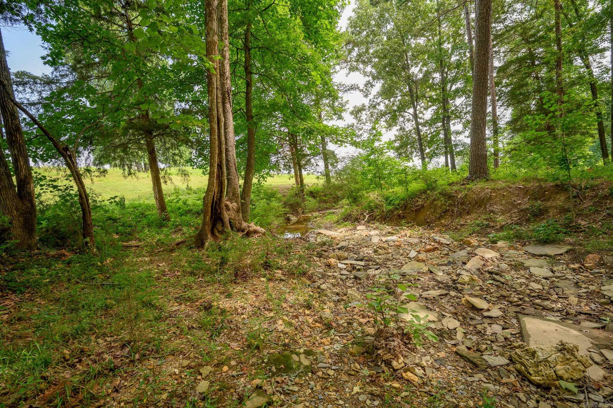 938 Ballpark Road Property Photo 35