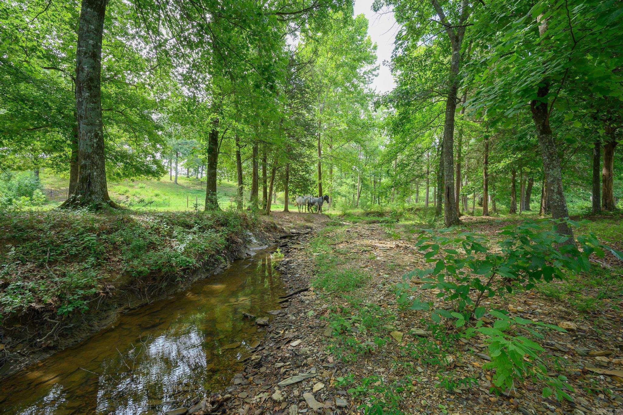 938 Ballpark Road Property Photo 36