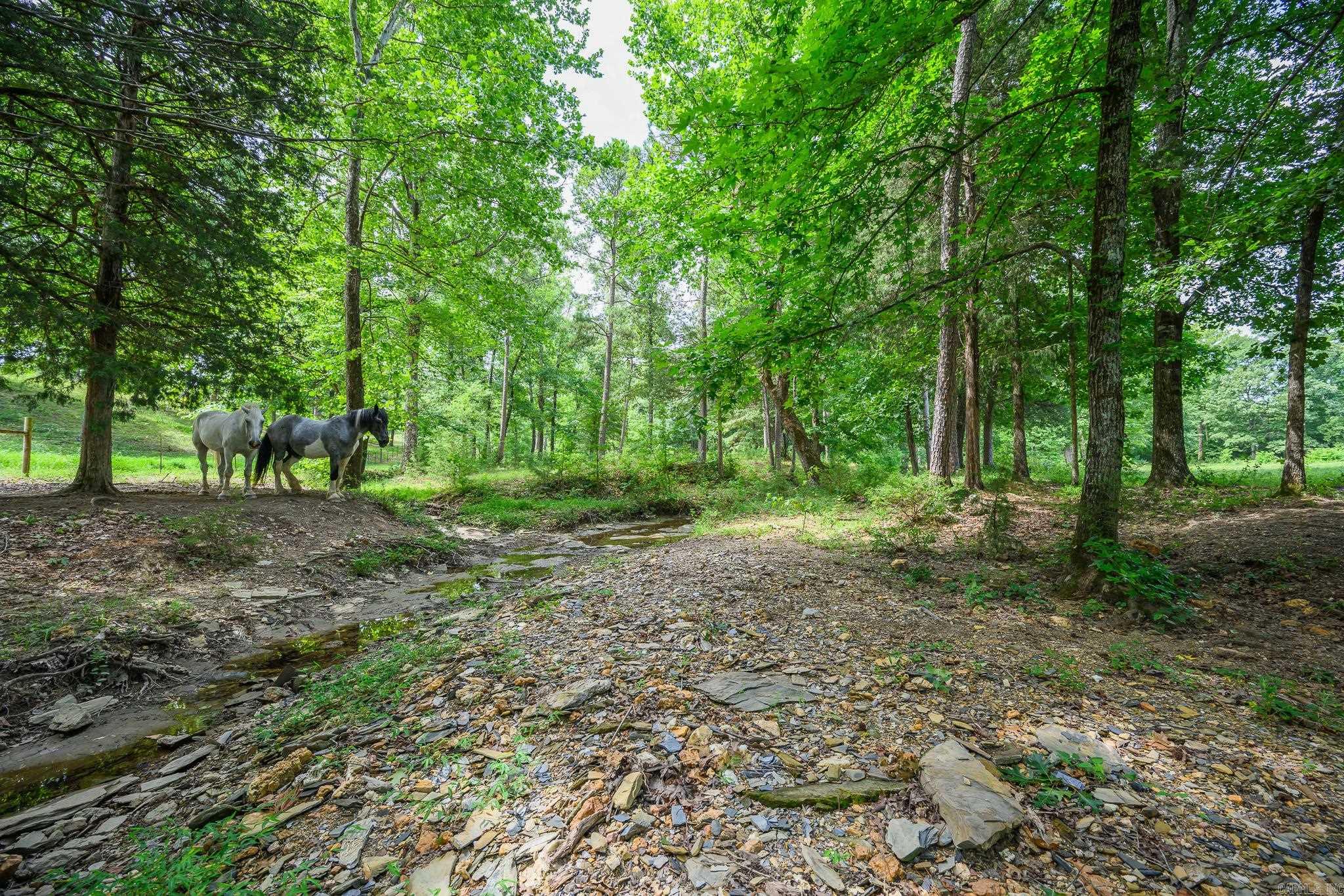 938 Ballpark Road Property Photo 37