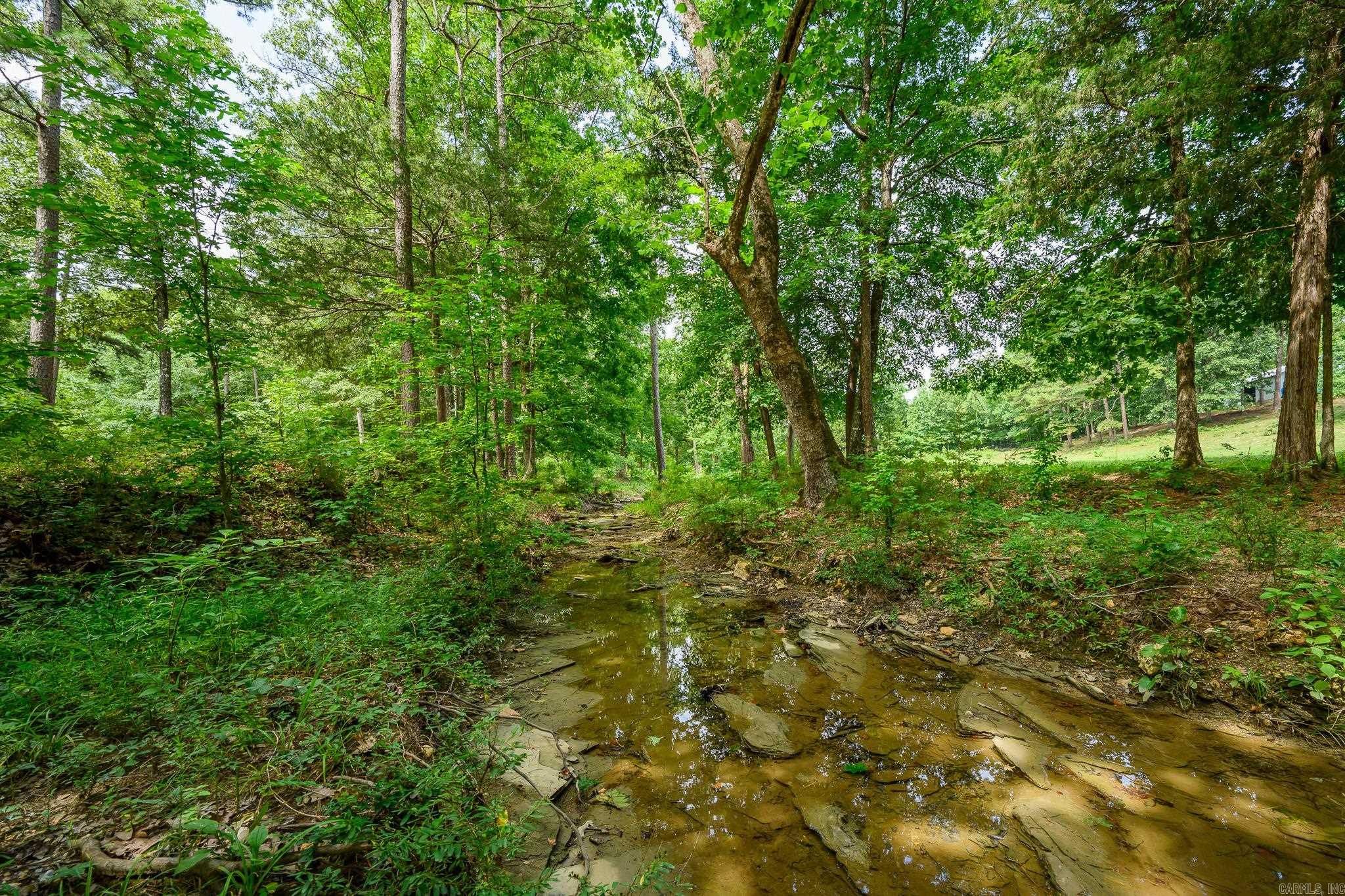 938 Ballpark Road Property Photo 38