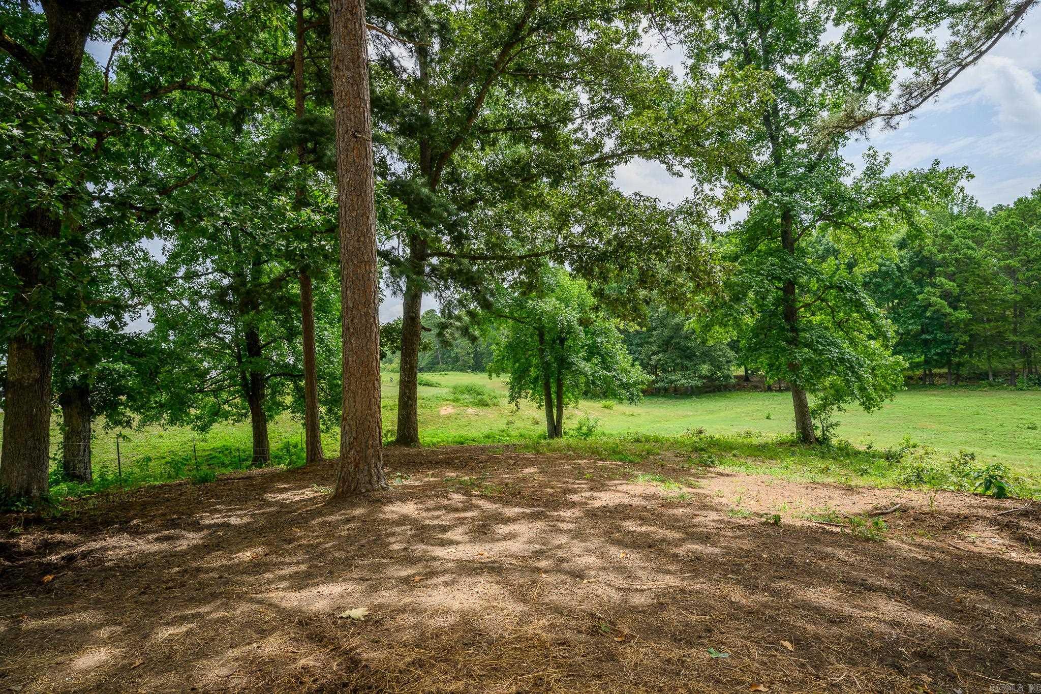 938 Ballpark Road Property Photo 45