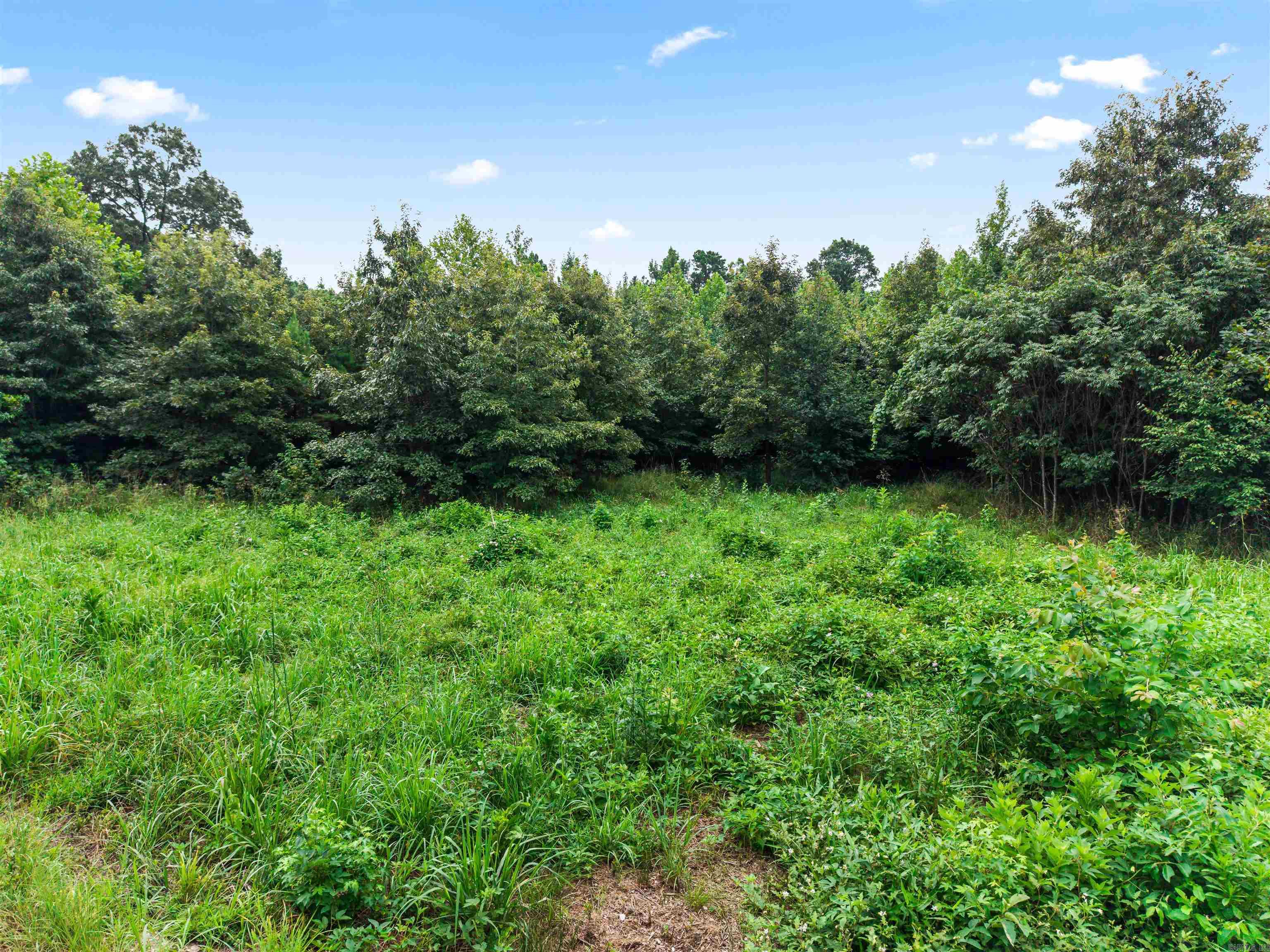 3771 N Hwy 7 Property Photo 14