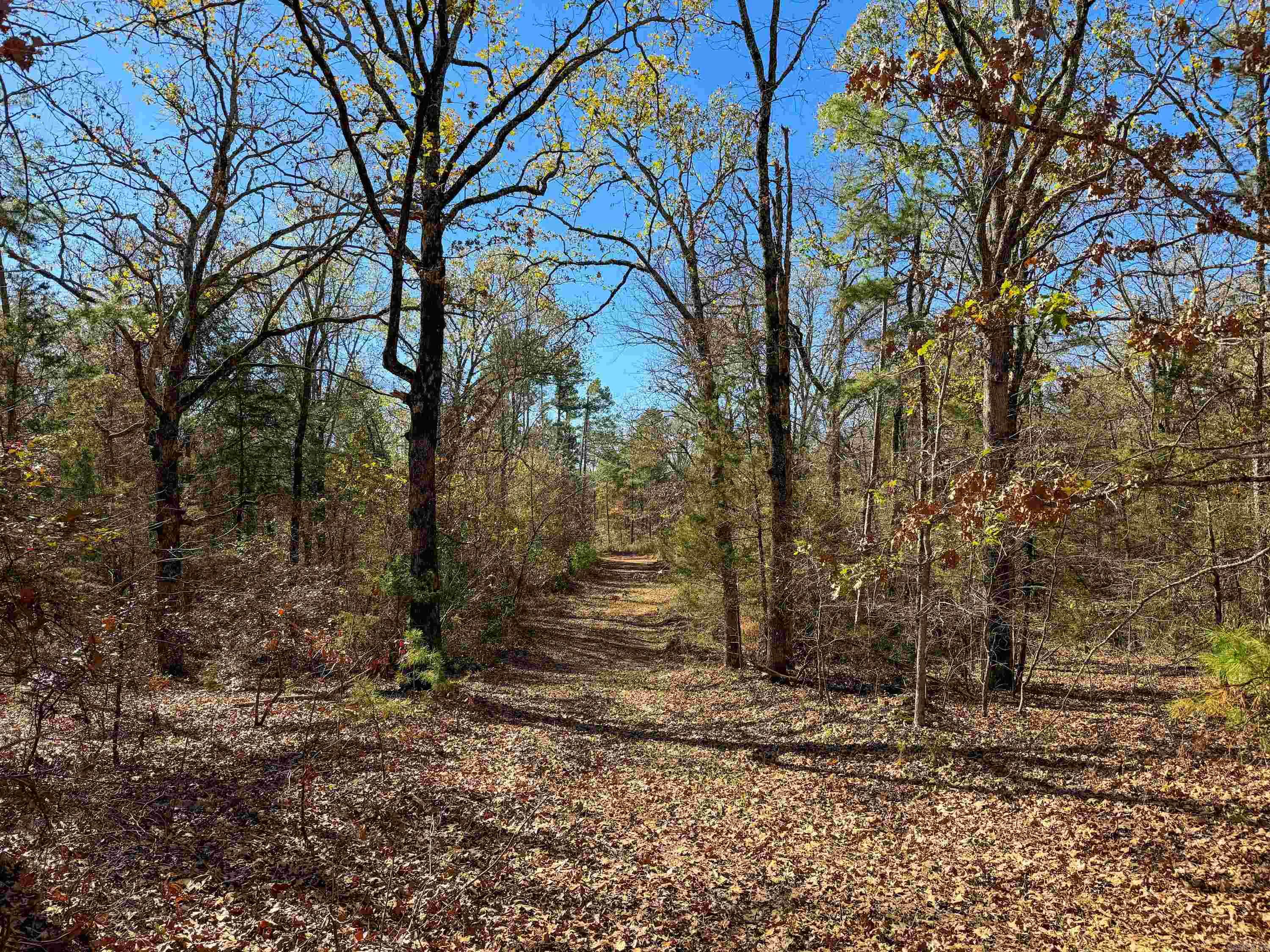 352 Sunset Lane Property Photo 15