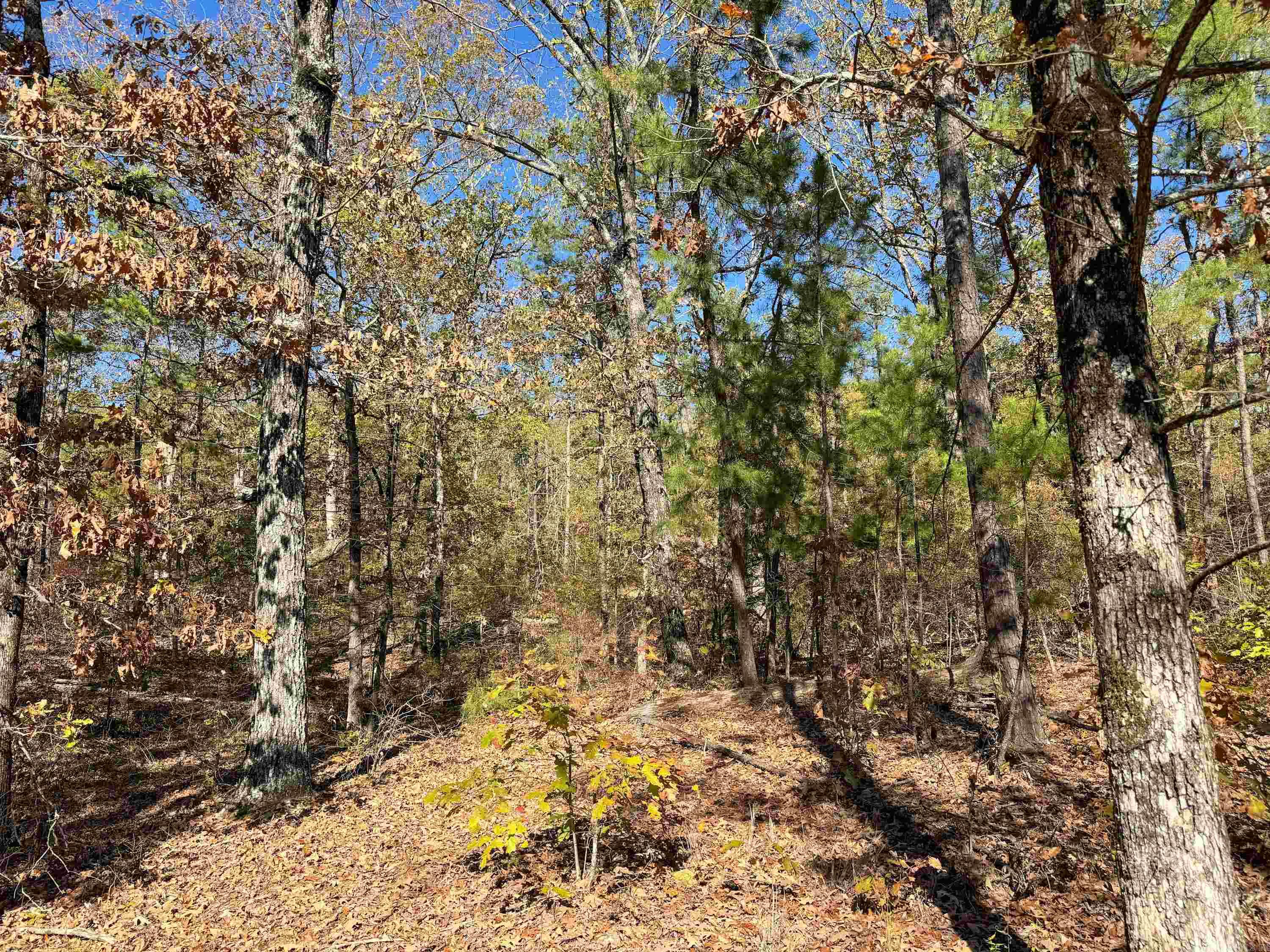 352 Sunset Lane Property Photo 18