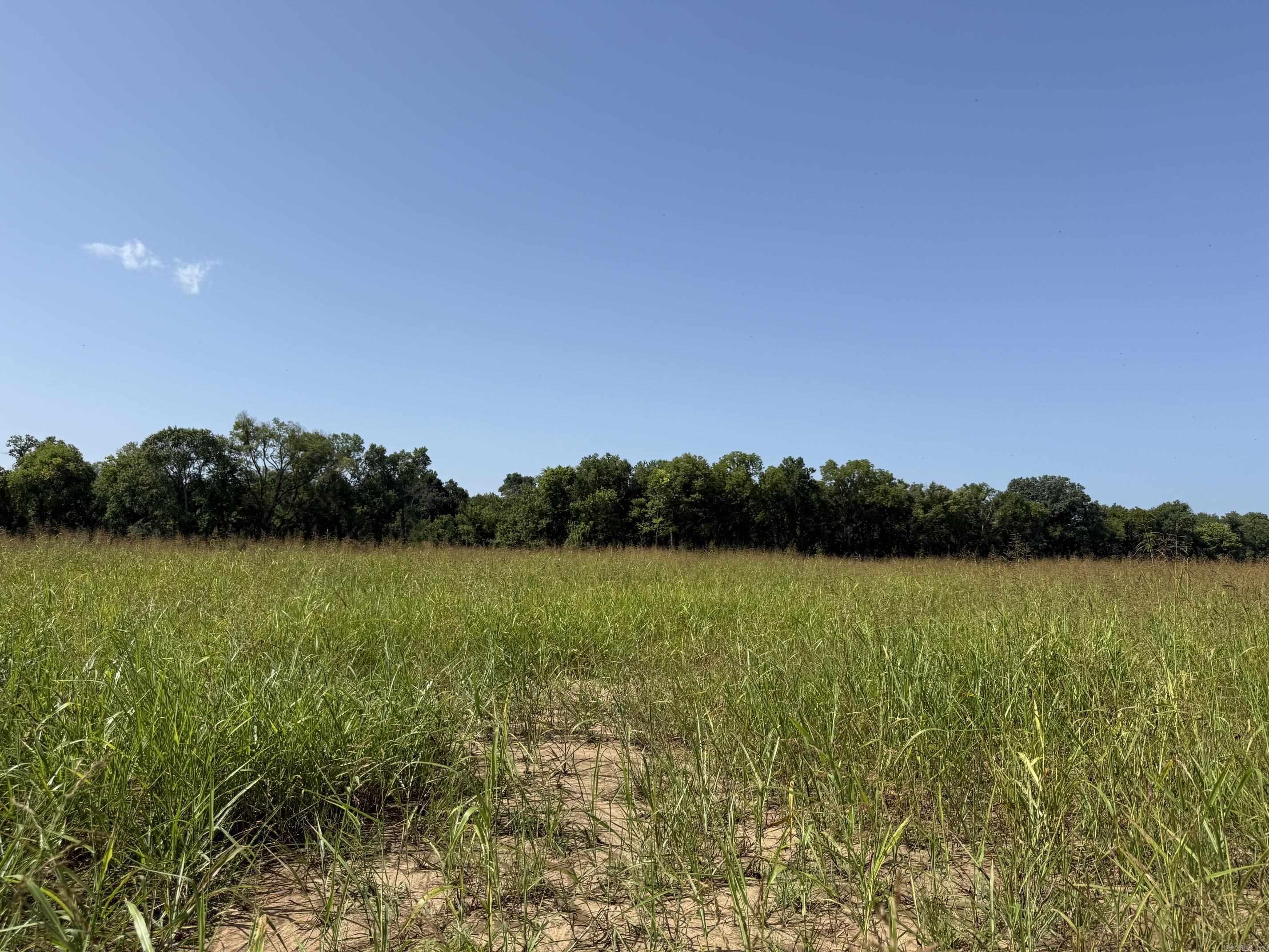 Lot 31 Up River Property Photo 1