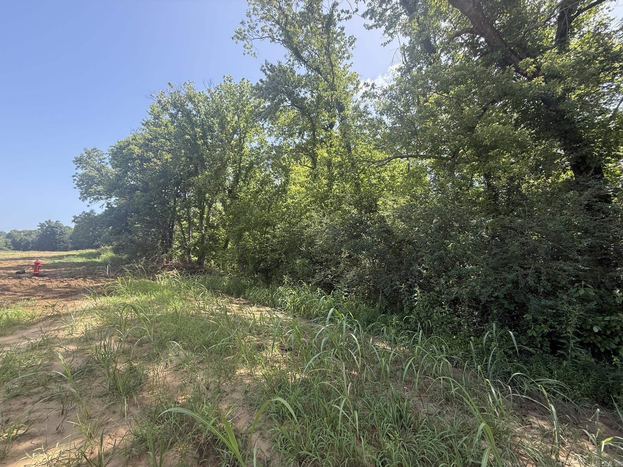 Lot 33 Up River Property Photo 3