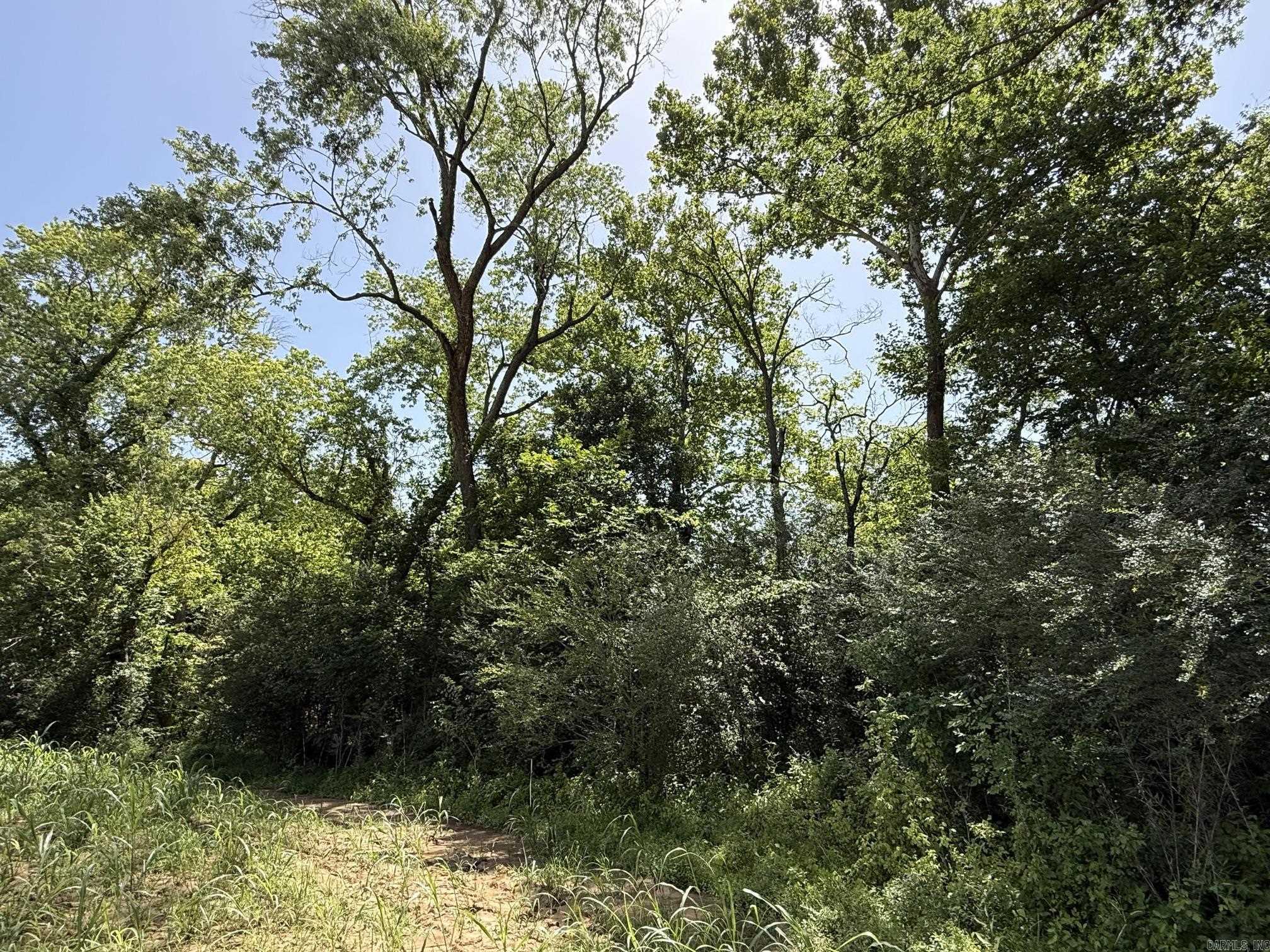 Lot 34 Up River Property Photo 3