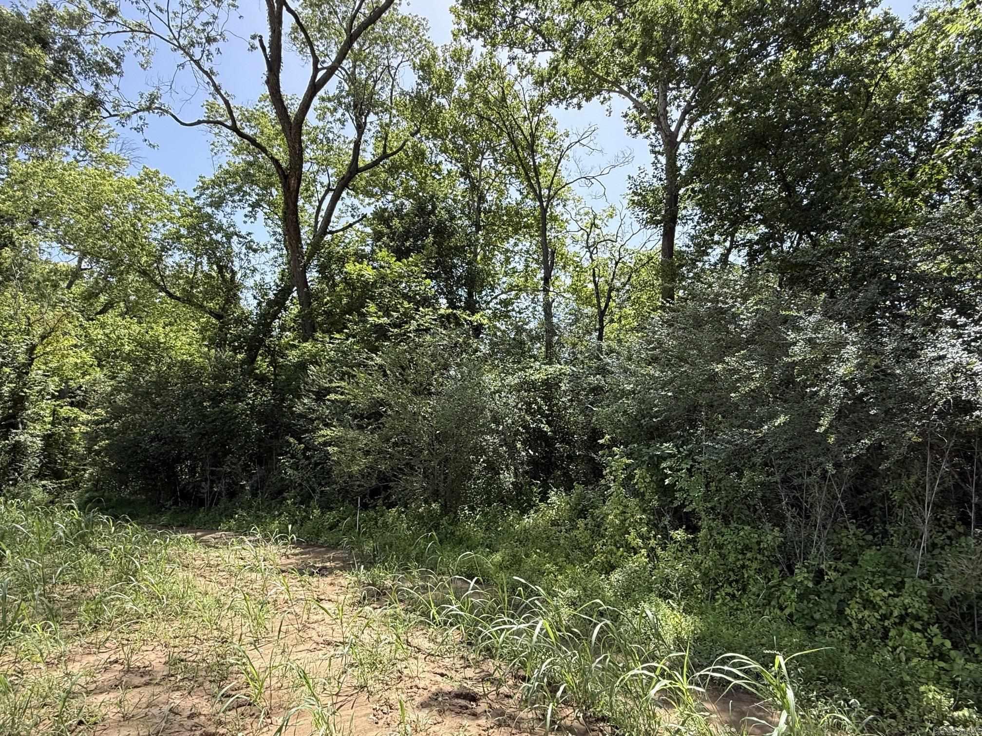 Lot 34 Up River Property Photo 4