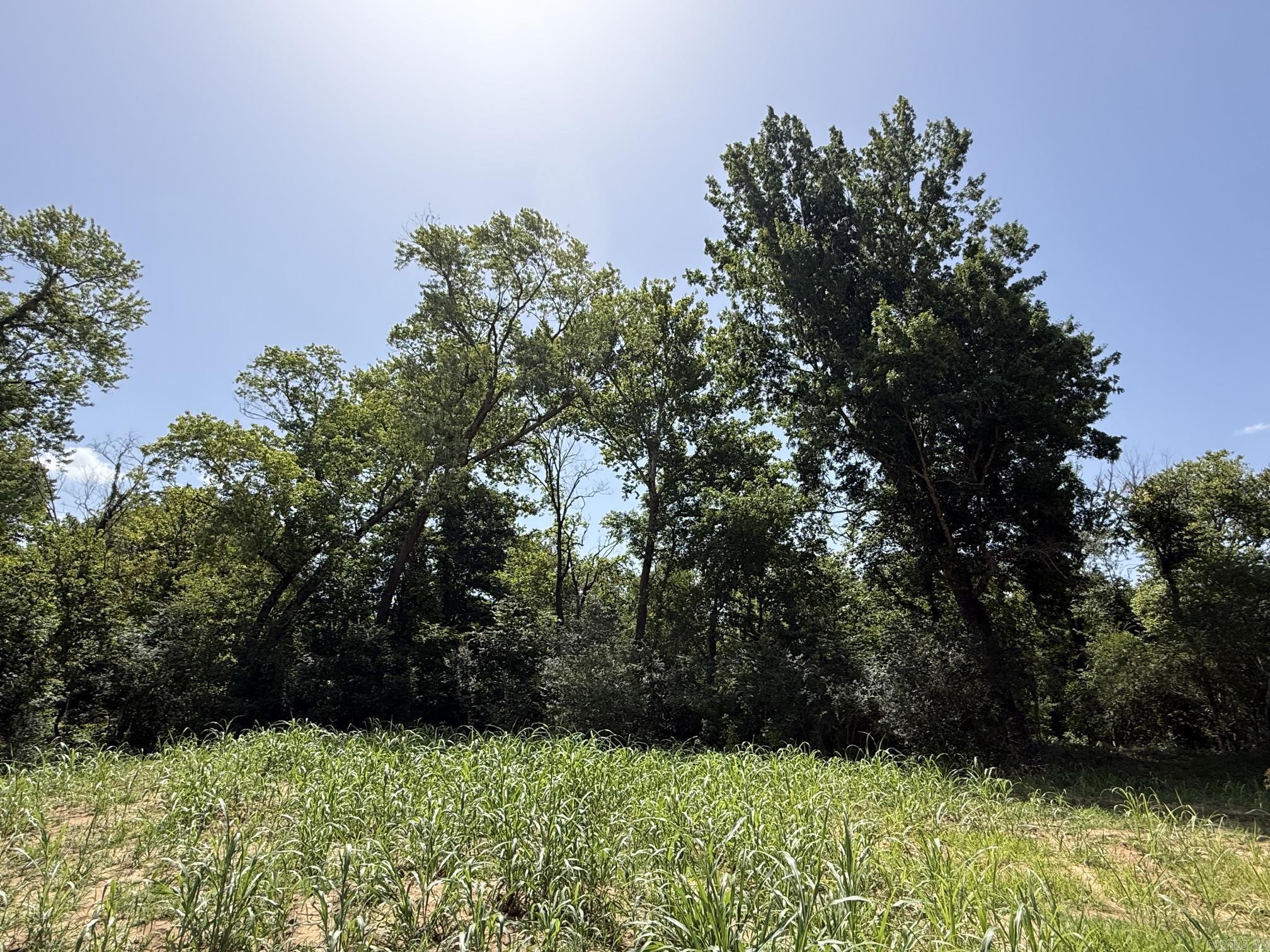 Lot 34 Up River Property Photo 5