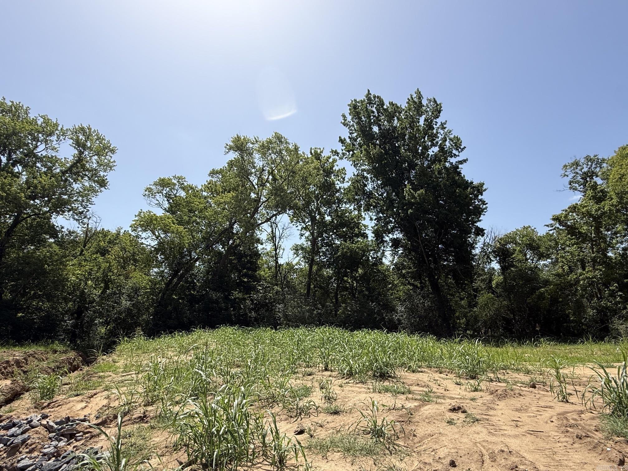 Lot 34 Up River Property Photo 6