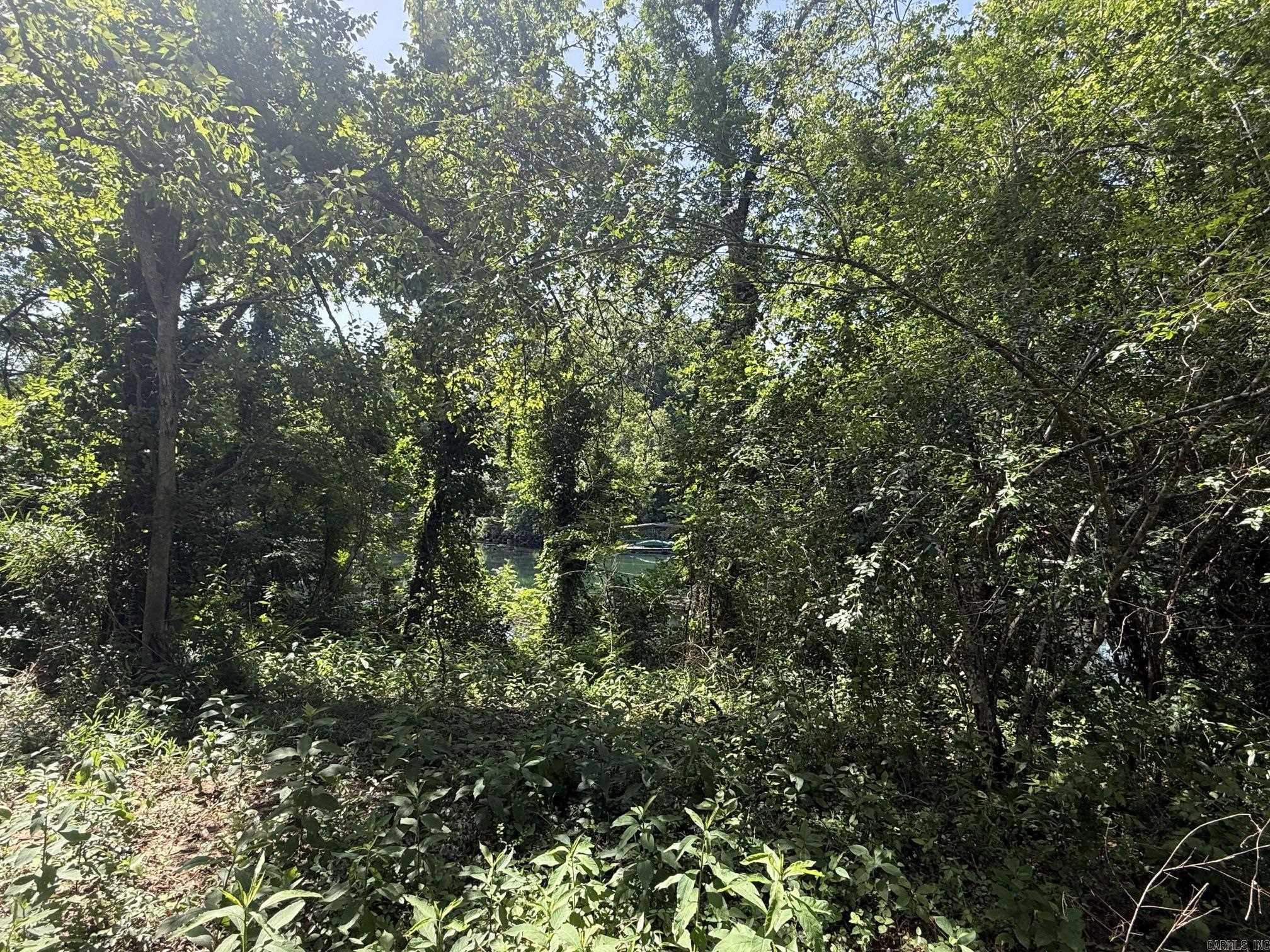 Lot 35 Up River Property Photo 2