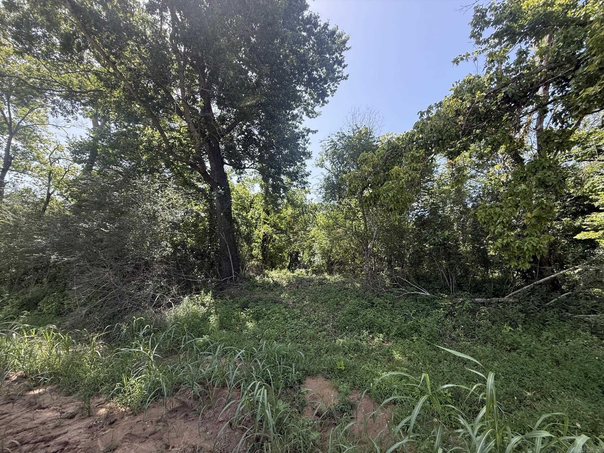 Lot 35 Up River Property Photo 3