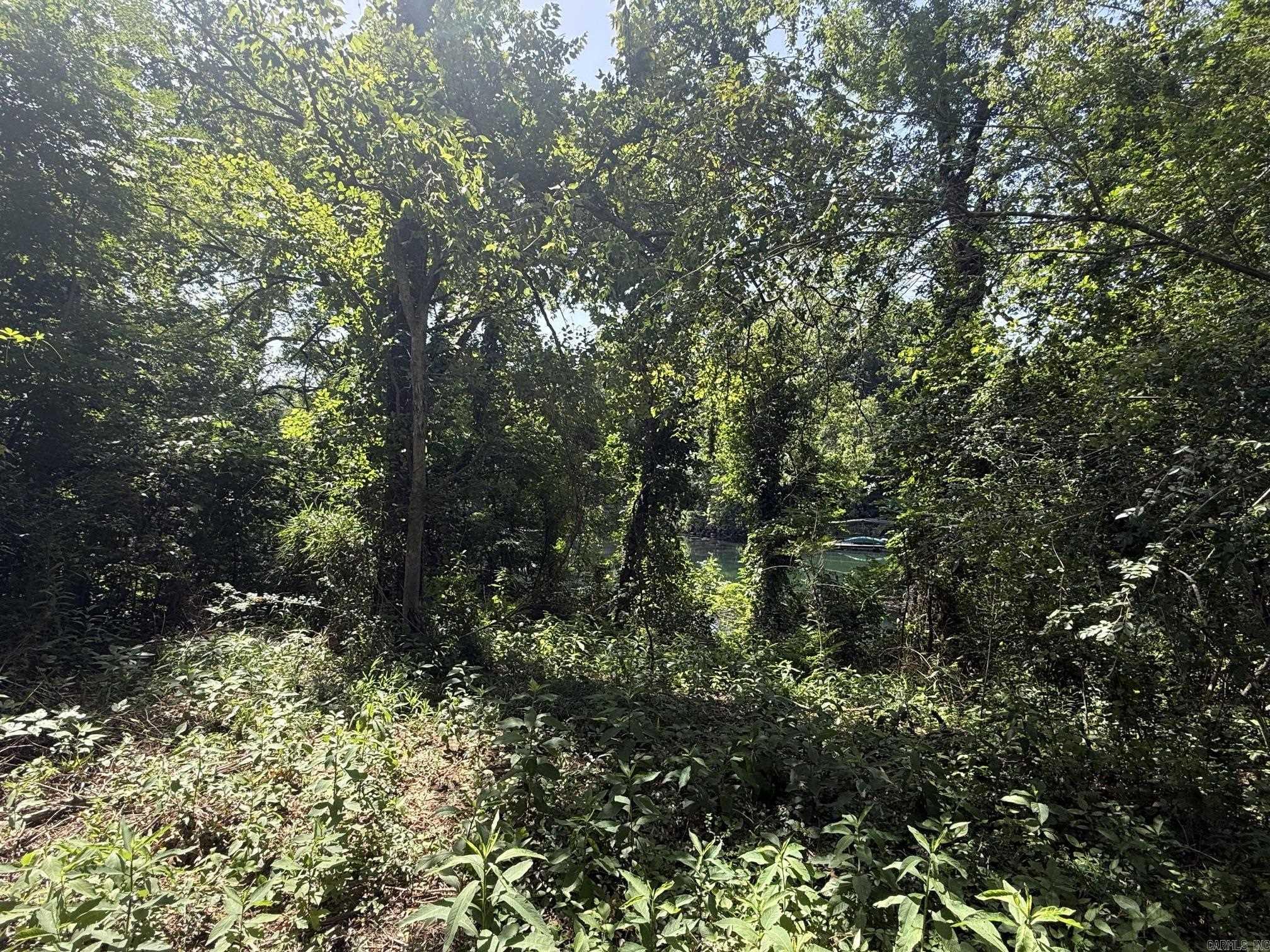 Lot 35 Up River Property Photo 5