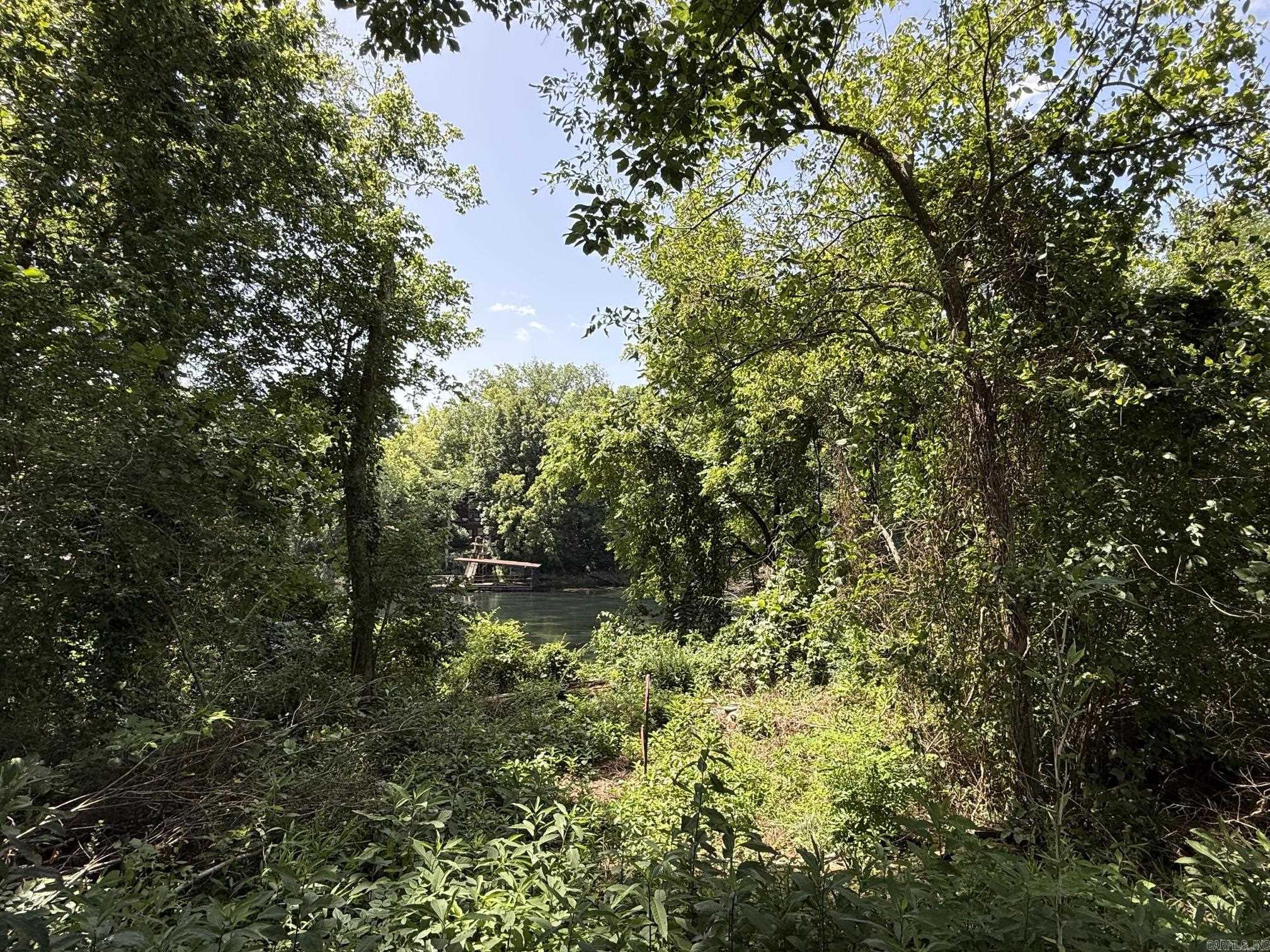 Lot 36 Up River Property Photo 4