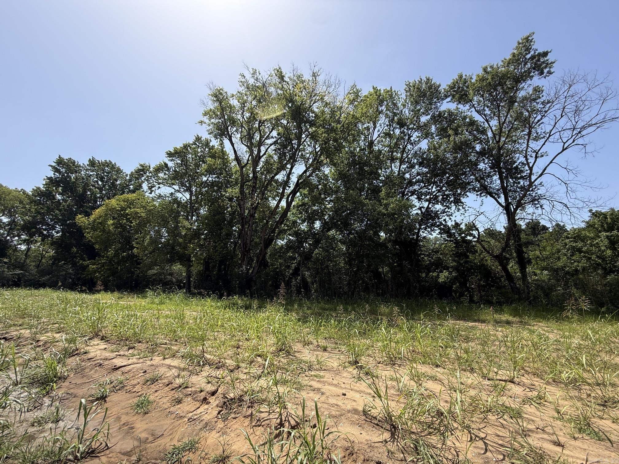 Lot 36 Up River Property Photo 5