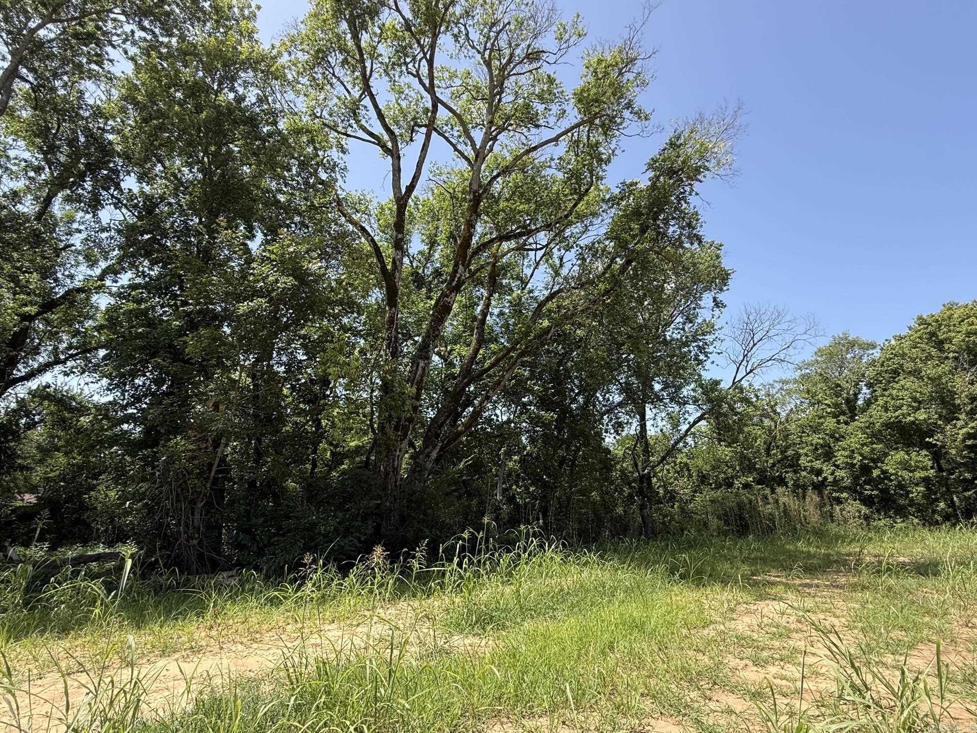 Lot 36 Up River Property Photo 6