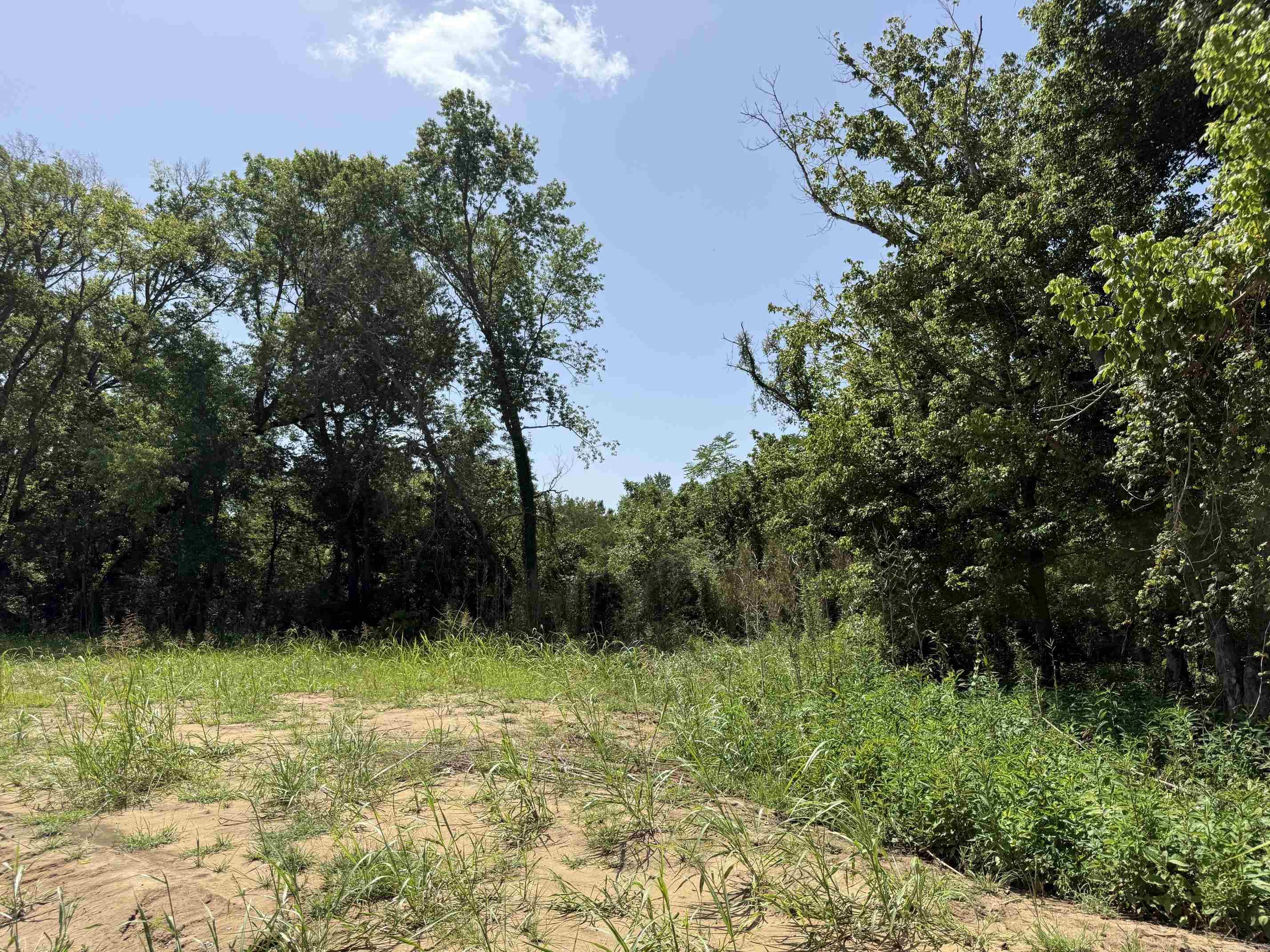 Lot 37 Up River Property Photo 2