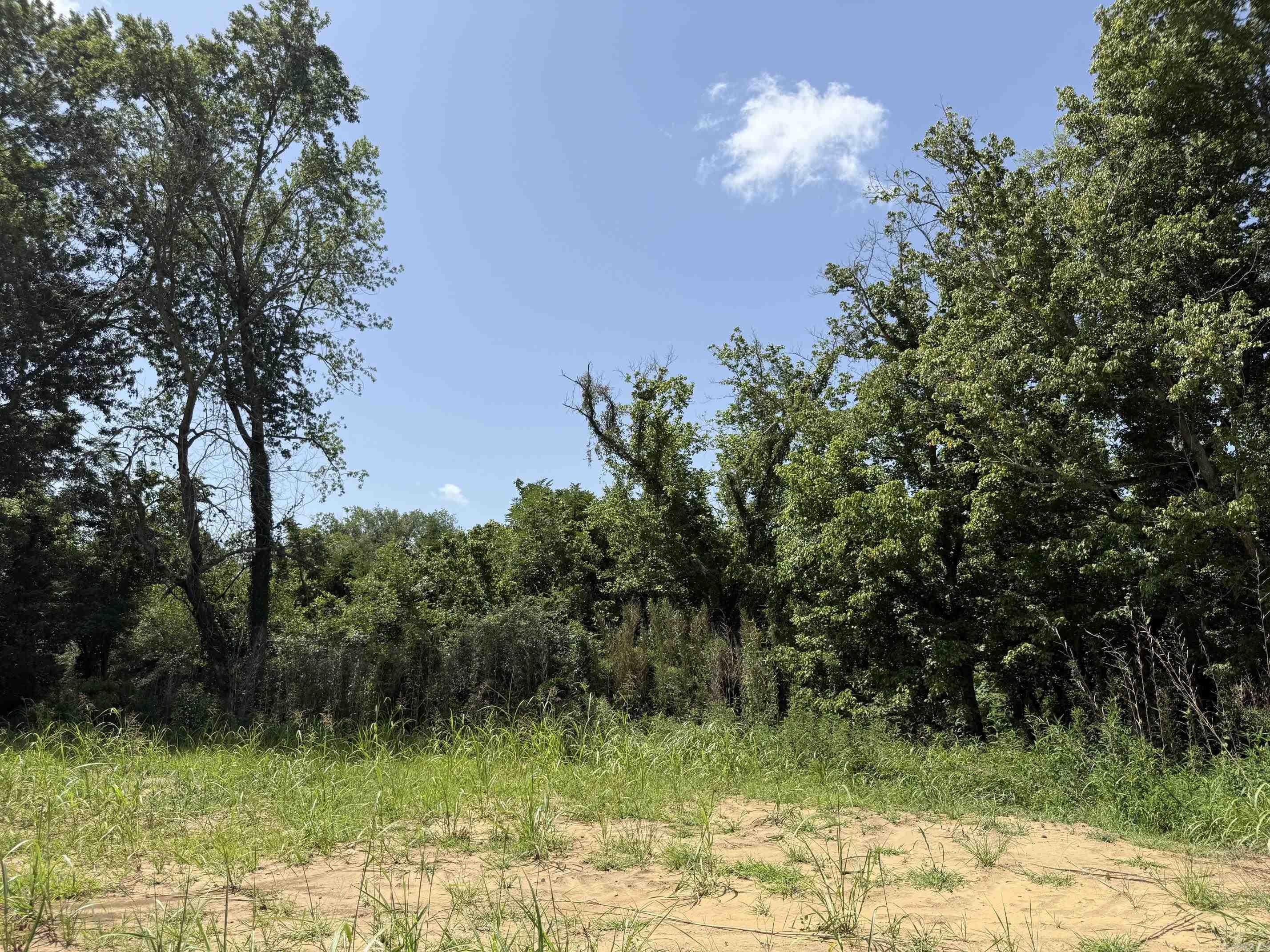 Lot 37 Up River Property Photo 3