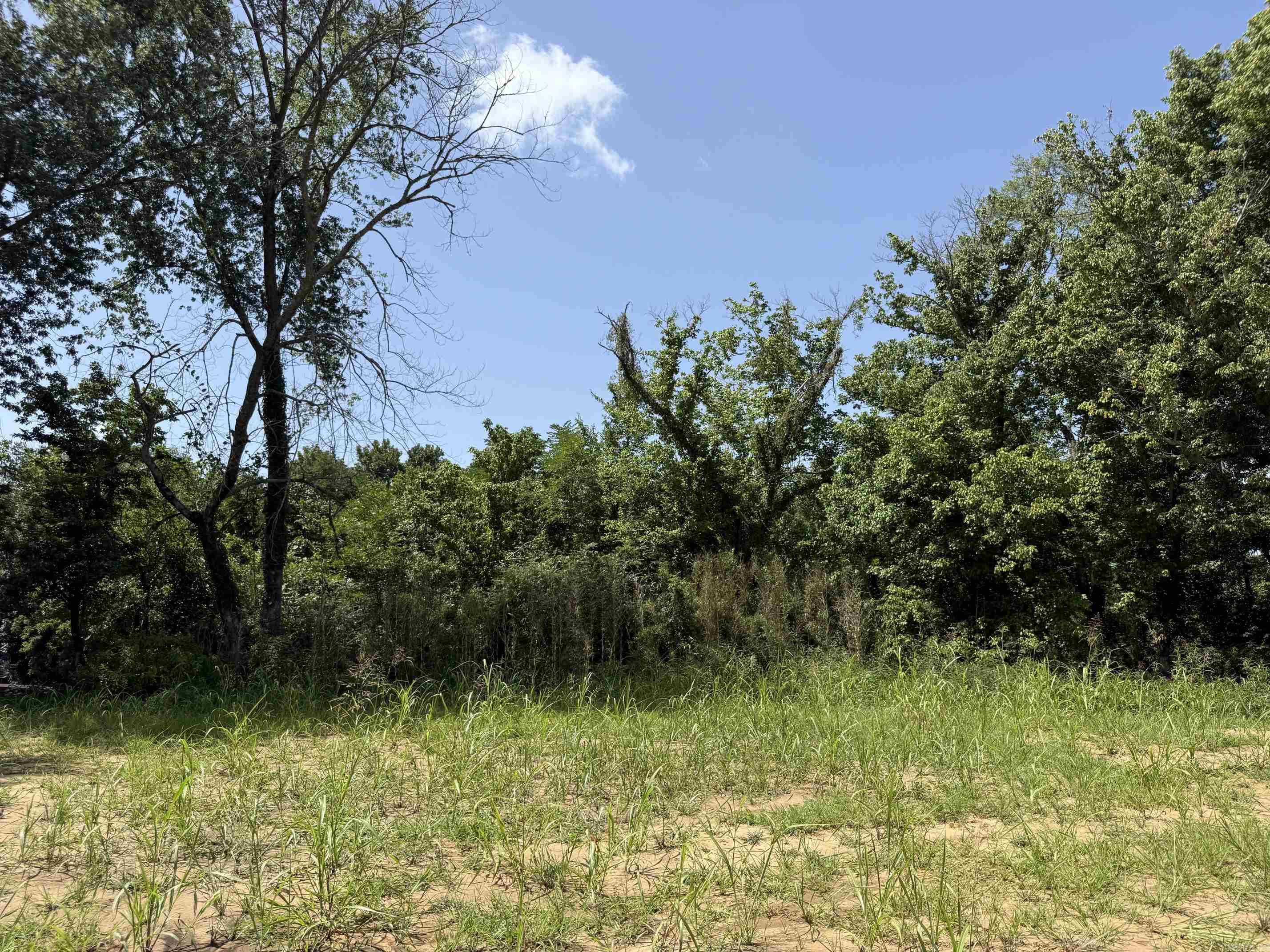 Lot 37 Up River Property Photo 4