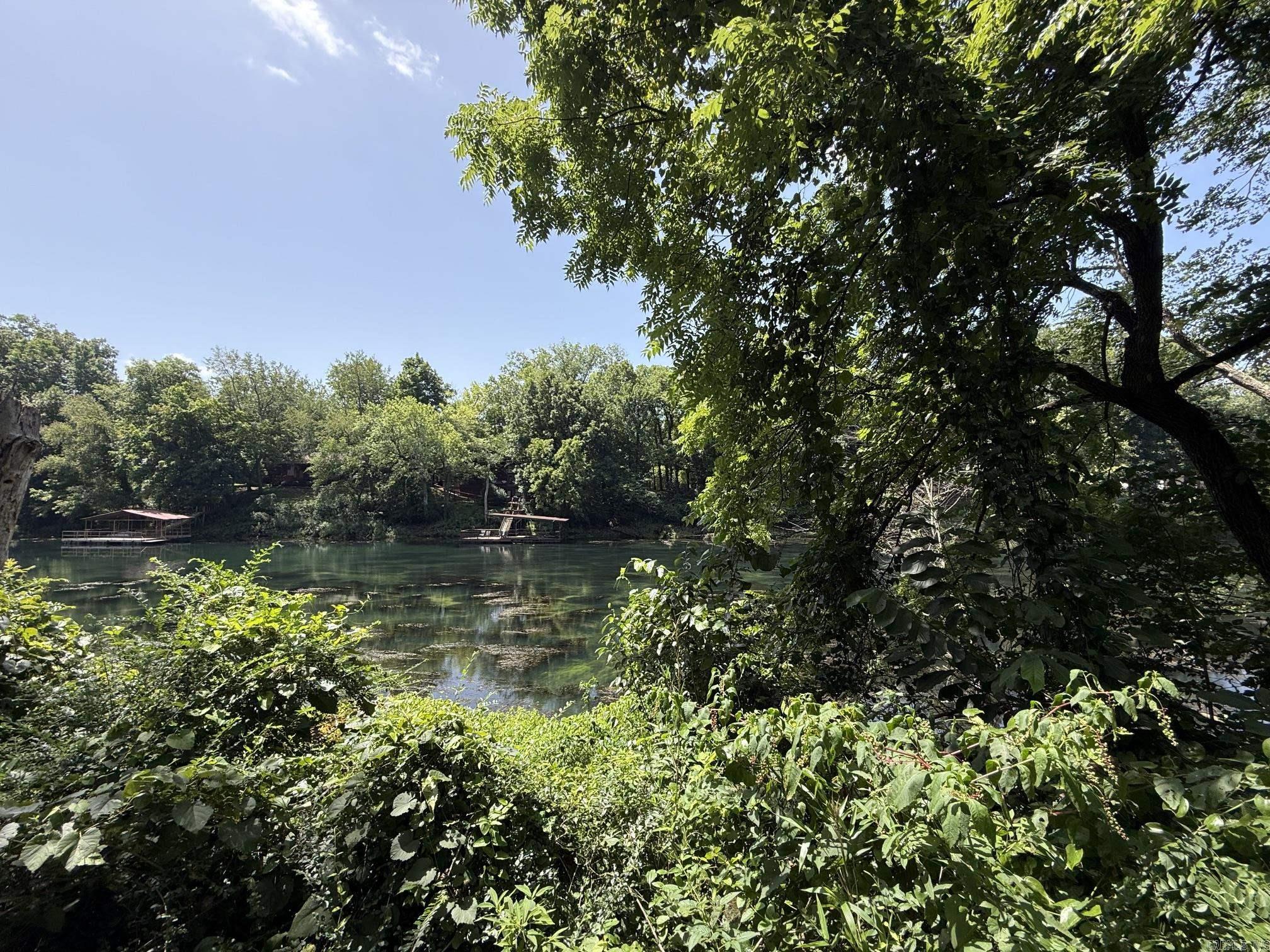 Lot 37 Up River Property Photo 5