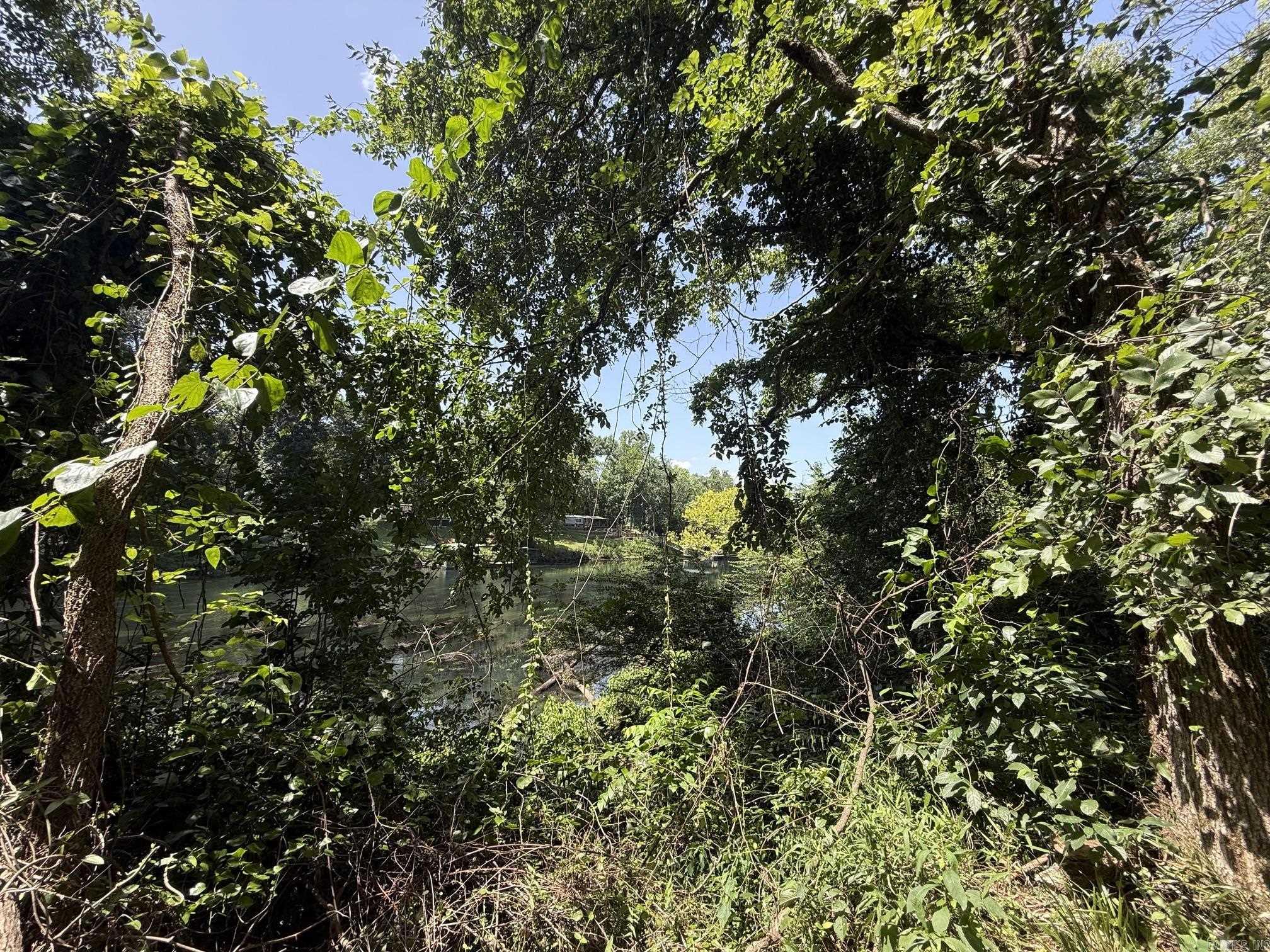 Lot 38 Up River Property Photo 2