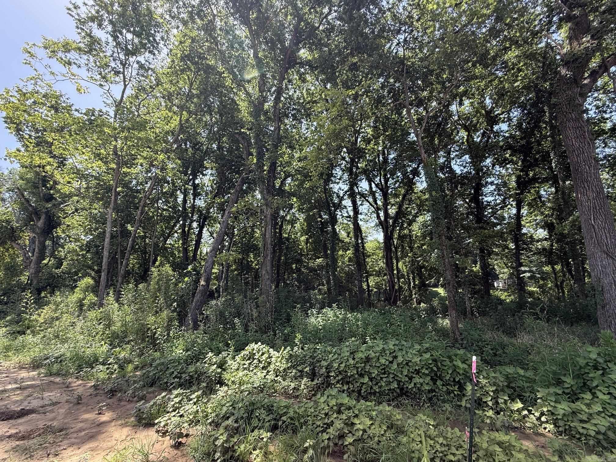 Lot 38 Up River Property Photo 4