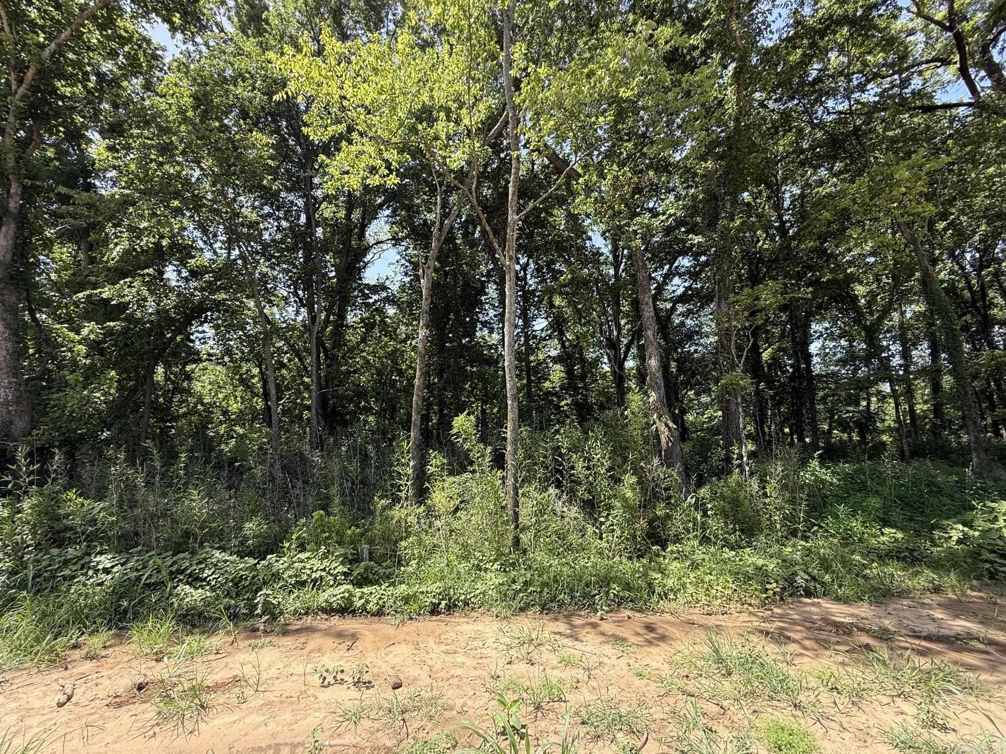 Lot 38 Up River Property Photo 5