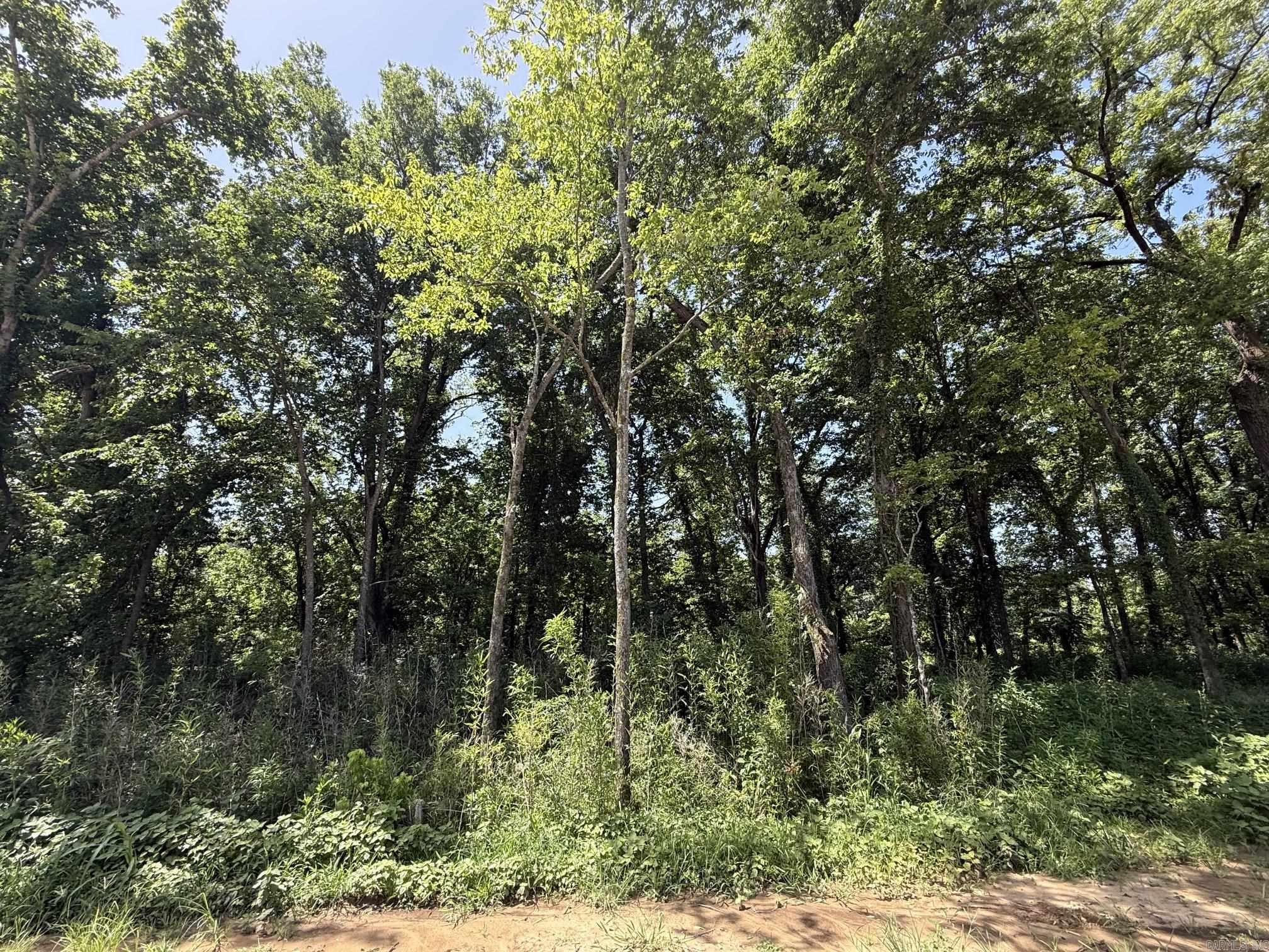 Lot 38 Up River Property Photo 6
