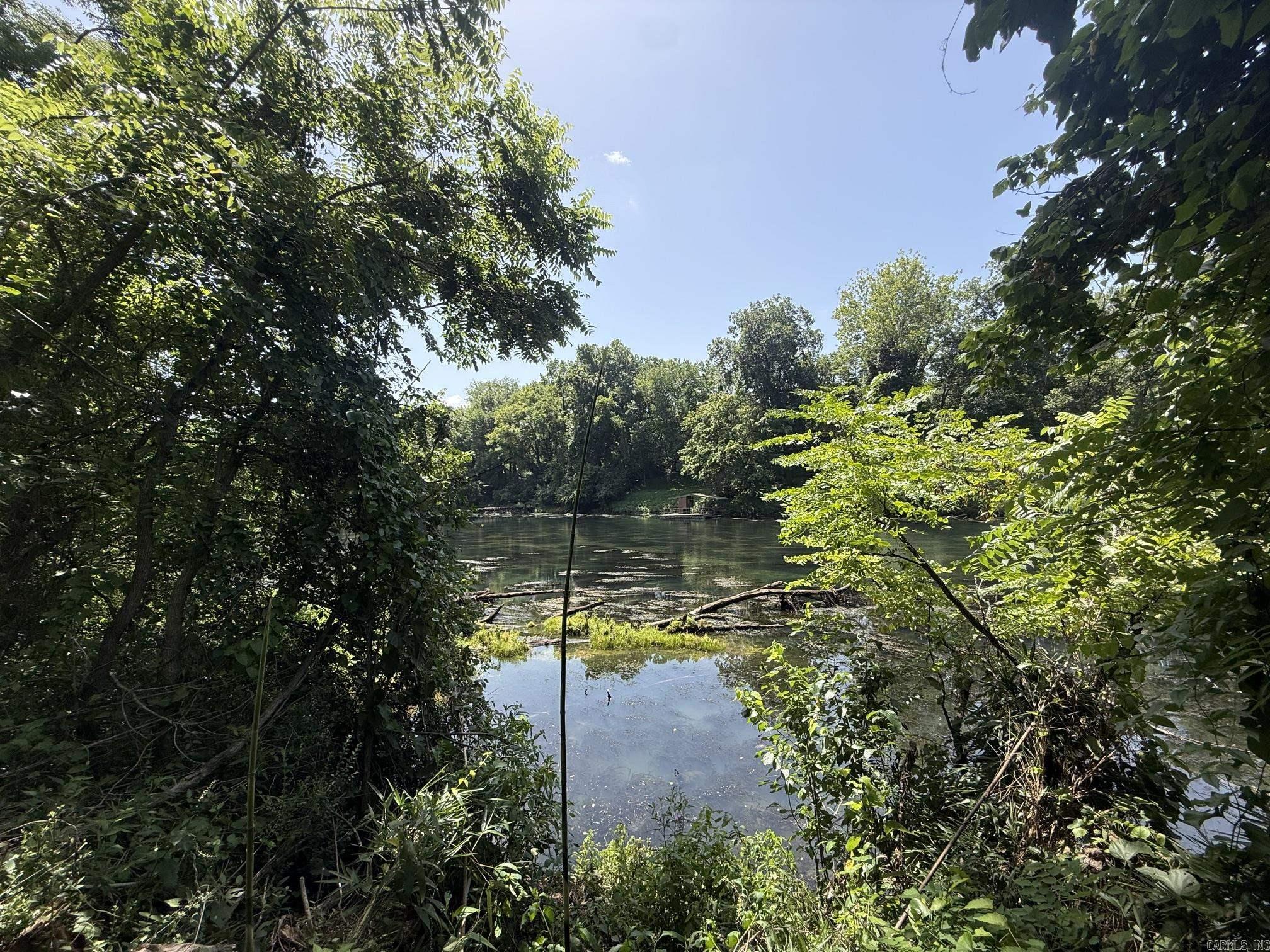 Lot 39 Up River Property Photo 3