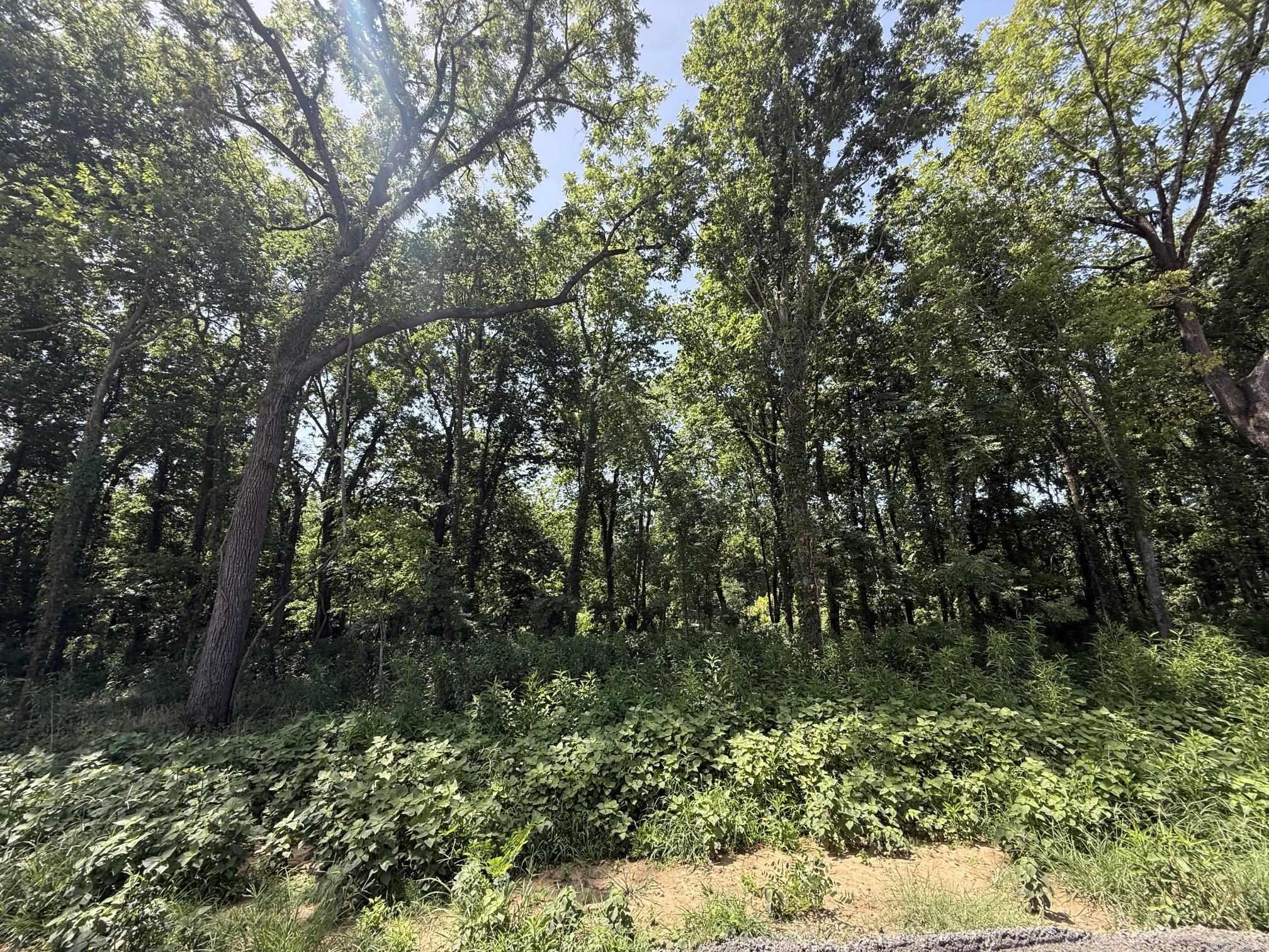 Lot 39 Up River Property Photo 4