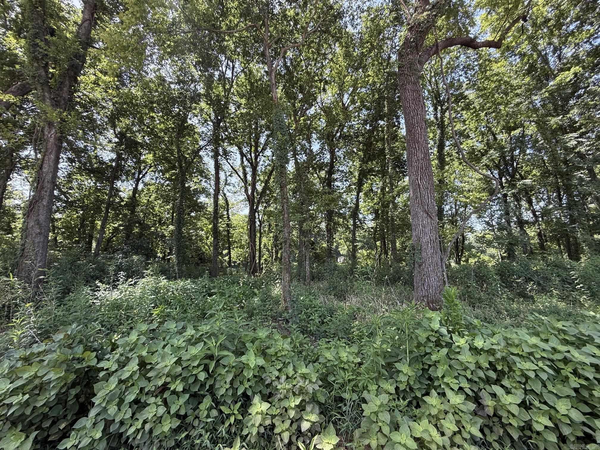 Lot 39 Up River Property Photo 6