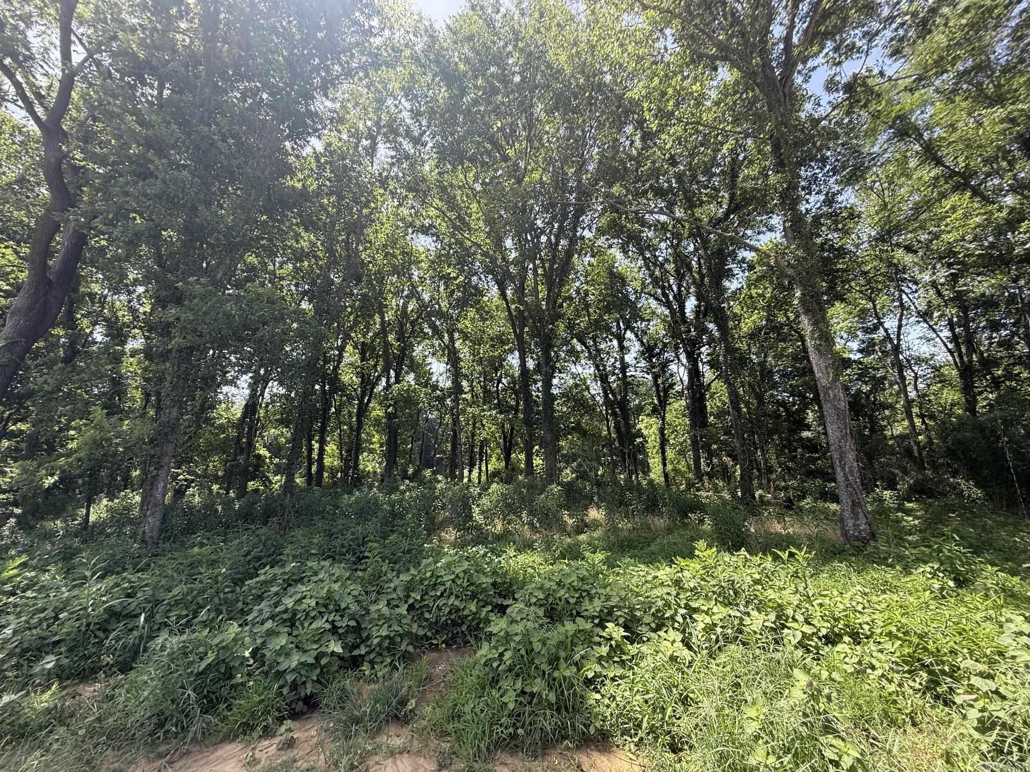 Lot 40 Up River Property Photo 2